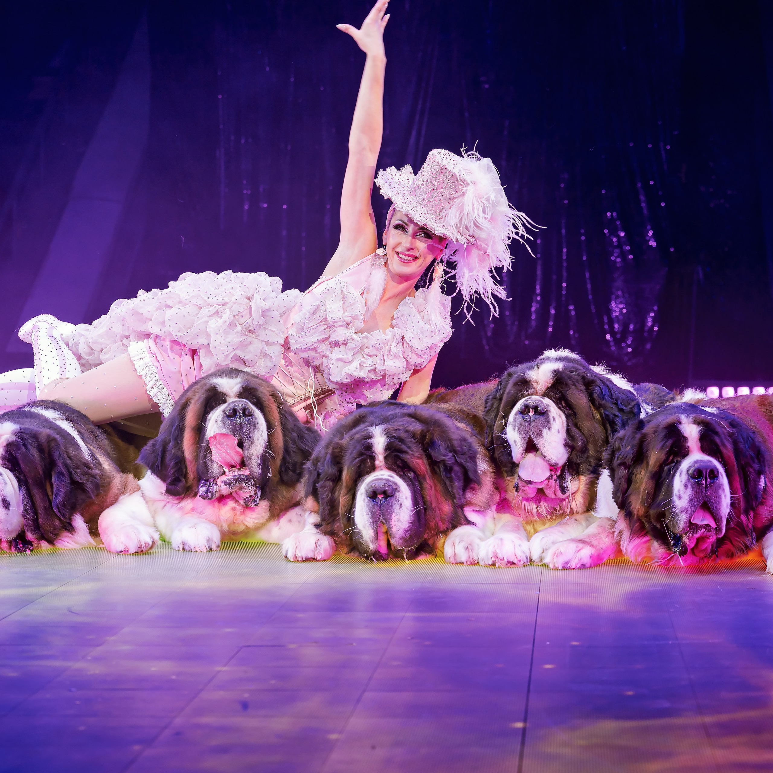 🍭Вкусное шоу «WOW»🍫. Фотограф Андрей Пухов (Jazz)