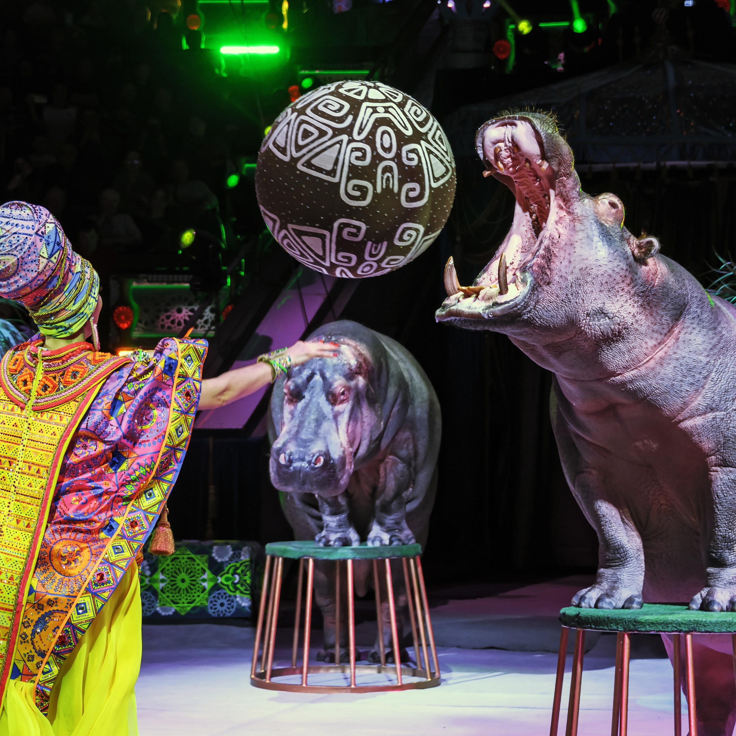 Песчаная сказка Гии Эрадзе — волшебное шоу 🎪, которое должен увидеть каждый, кто ценит красоту🌹, талант 🎭 и умение мечтать 💫. Цирковой фотограф Андрей Пухов (Jazz)