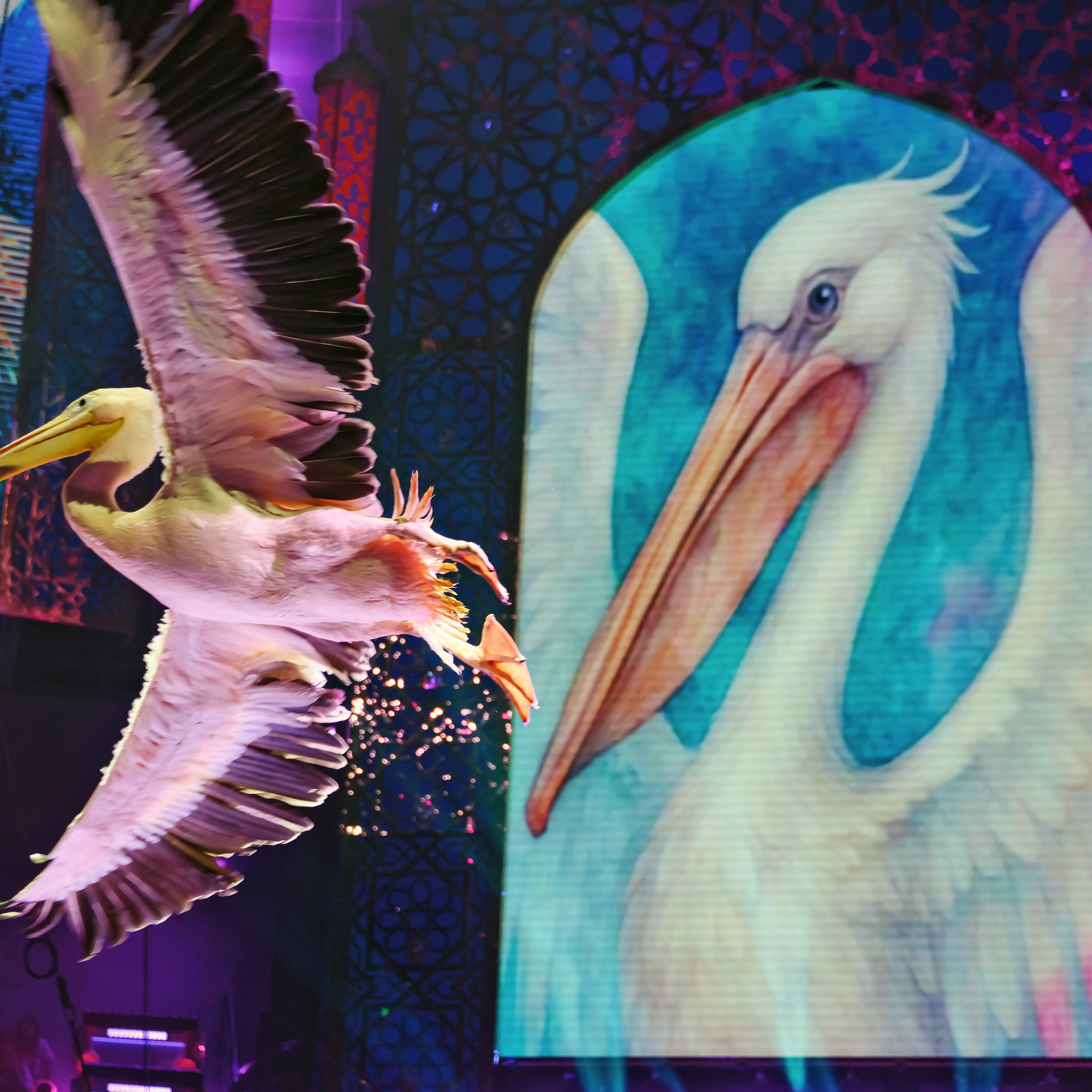 Песчаная сказка Гии Эрадзе — волшебное шоу 🎪, которое должен увидеть каждый, кто ценит красоту🌹, талант 🎭 и умение мечтать 💫. Цирковой фотограф Андрей Пухов (Jazz)