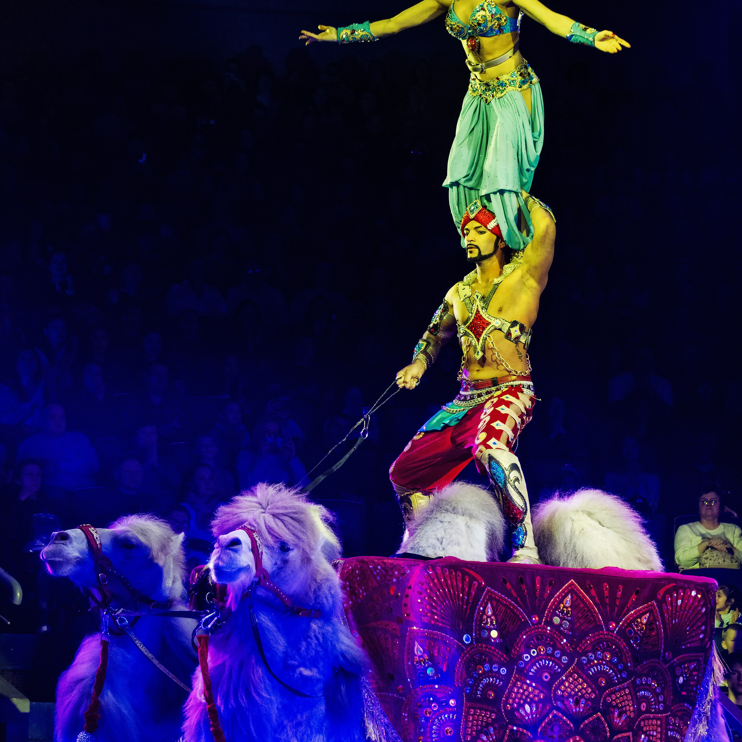 Песчаная сказка Гии Эрадзе — волшебное шоу 🎪, которое должен увидеть каждый, кто ценит красоту🌹, талант 🎭 и умение мечтать 💫. Цирковой фотограф Андрей Пухов (Jazz)