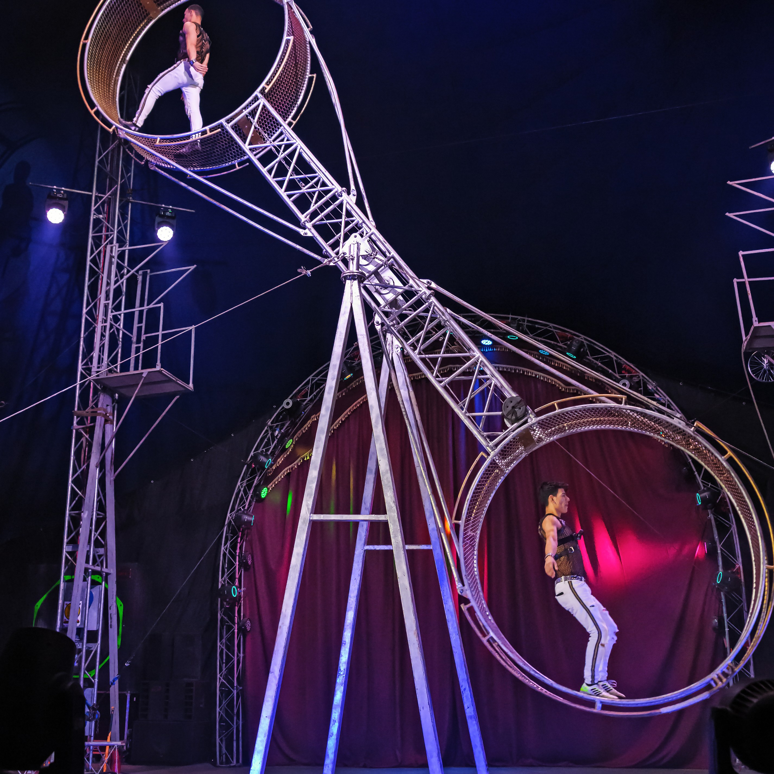 Шоу Демидовых. Цирковой фотограф Андрей Пухов (Jazz)