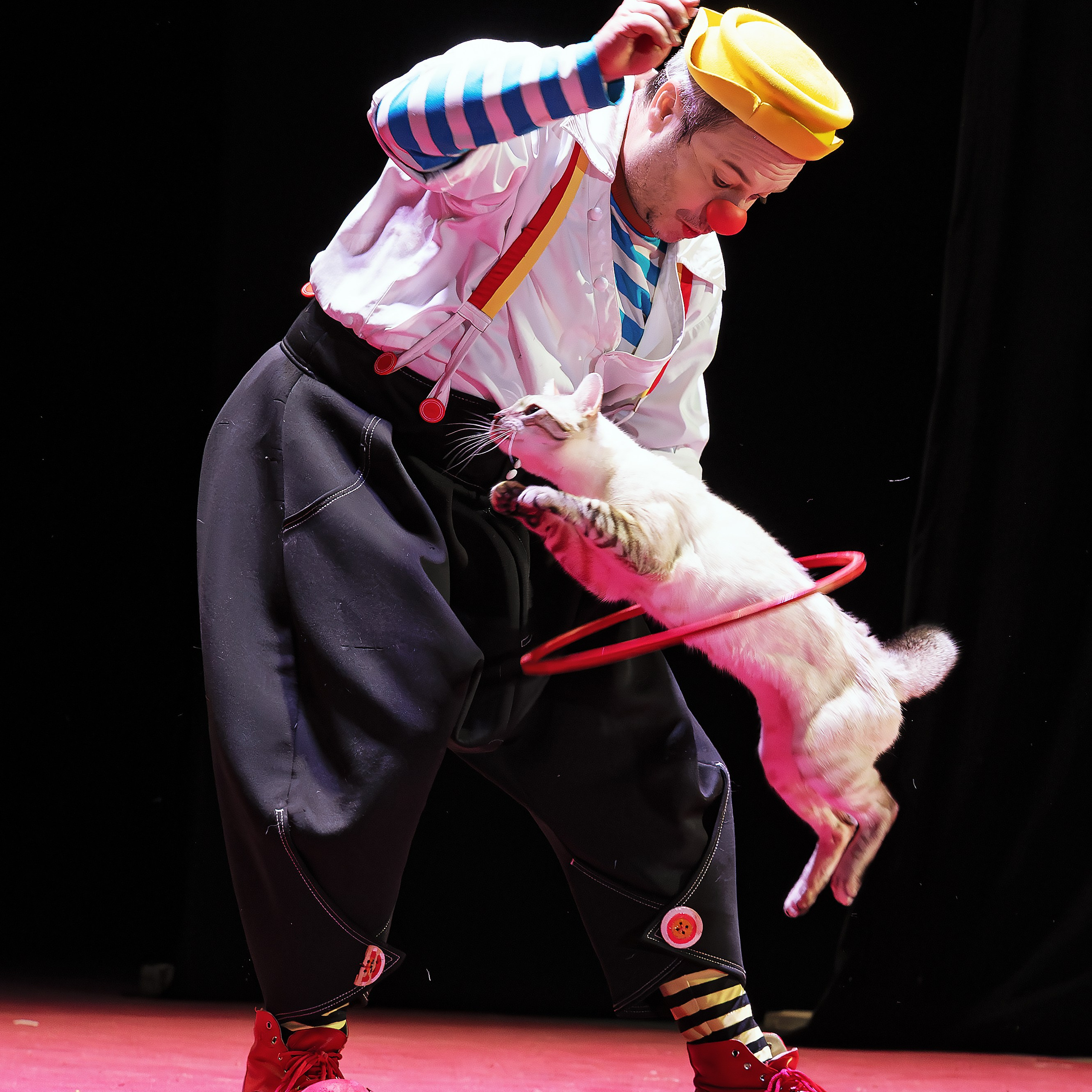 Великий клоун, Народный артист России, Юрий Куклачёв со звёздами эстрады и цирка, уникальный бенефис!. Фотограф Андрей Пухов (Jazz)