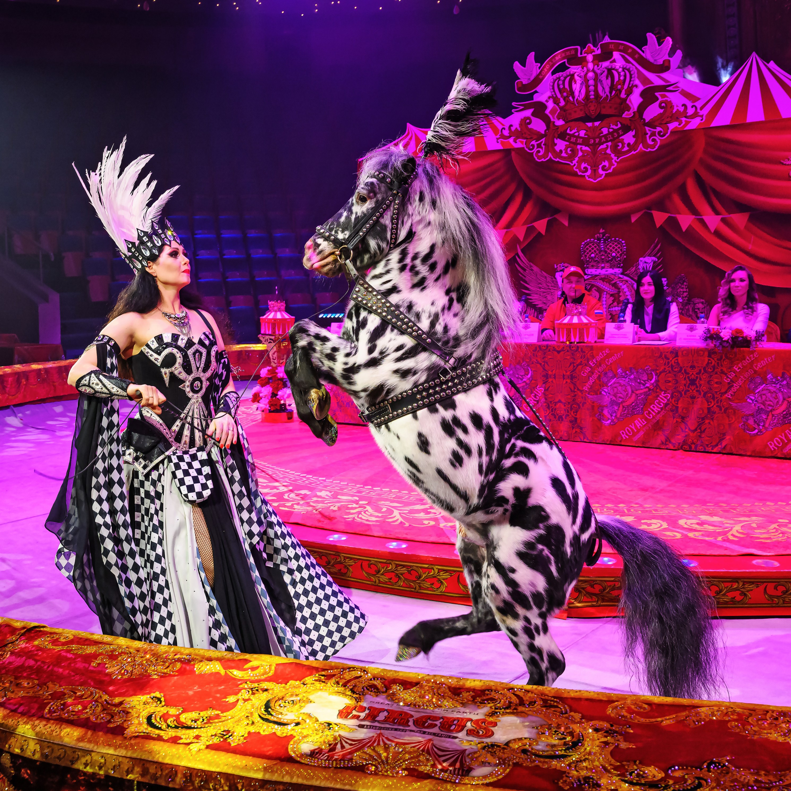 Пресс показ «Королевский цирк». Фотограф Андрей Пухов (Jazz)