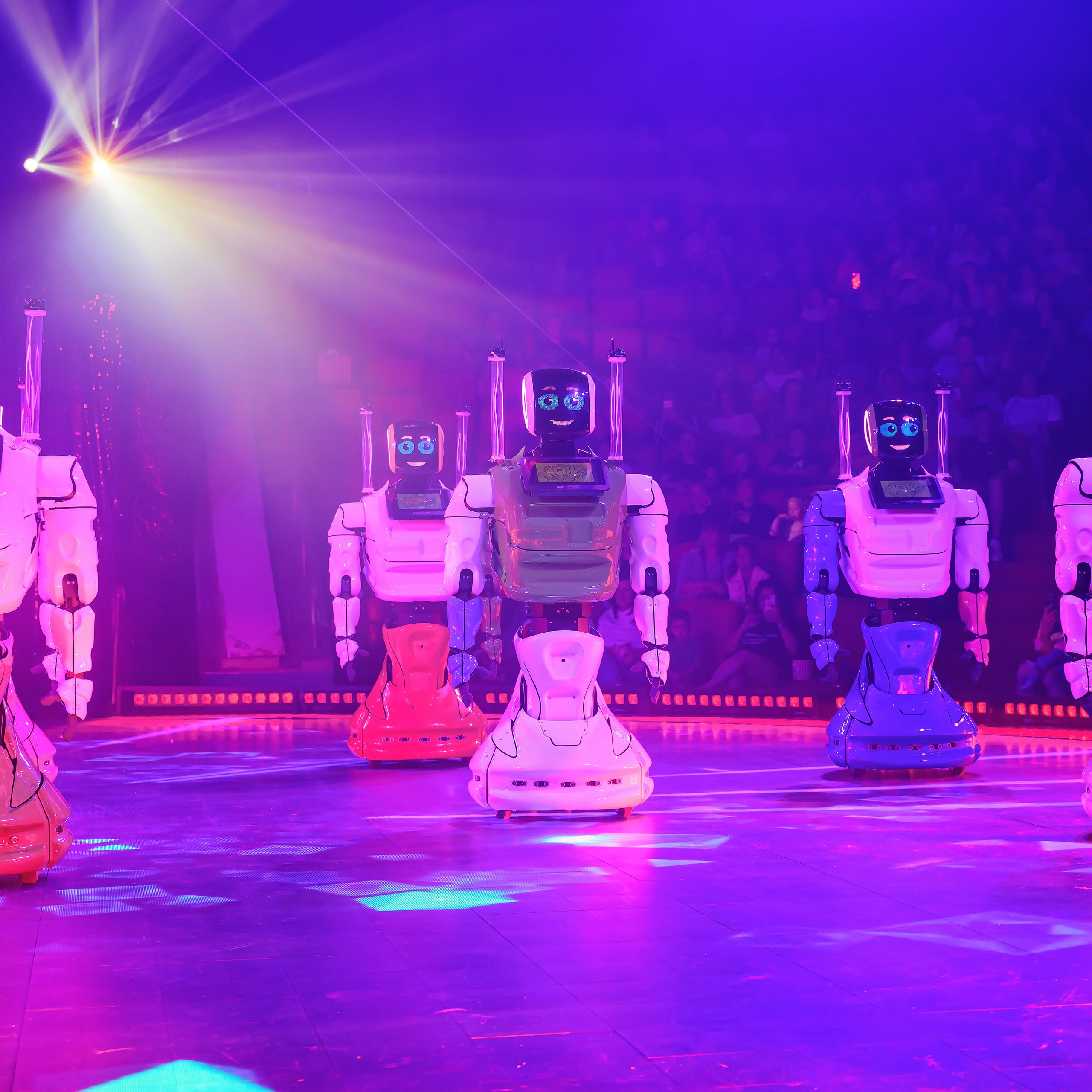 🍭Вкусное шоу «WOW»🍫. Фотограф Андрей Пухов (Jazz)