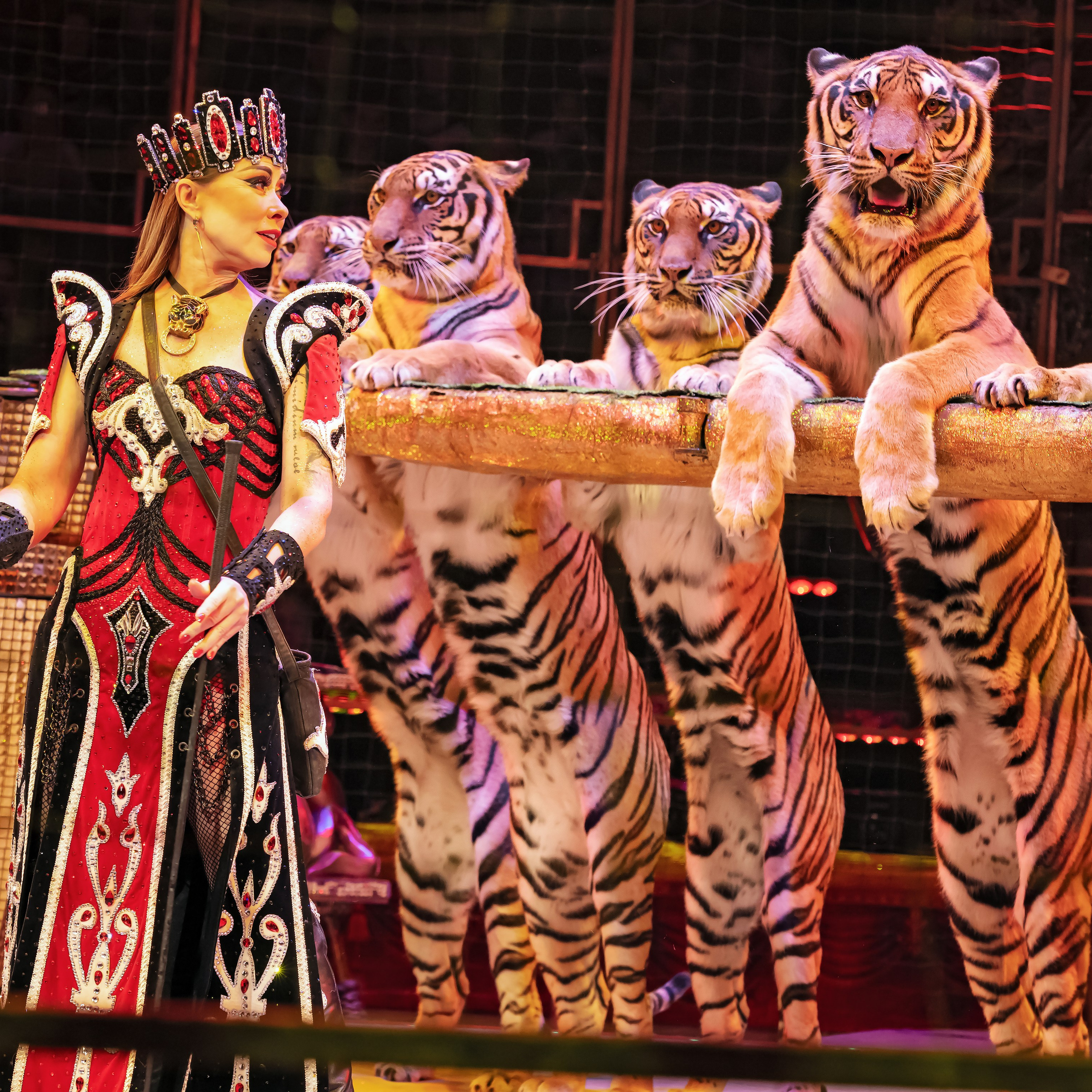 Шоу «Королевский цирк». Фотограф Андрей Пухов (Jazz)