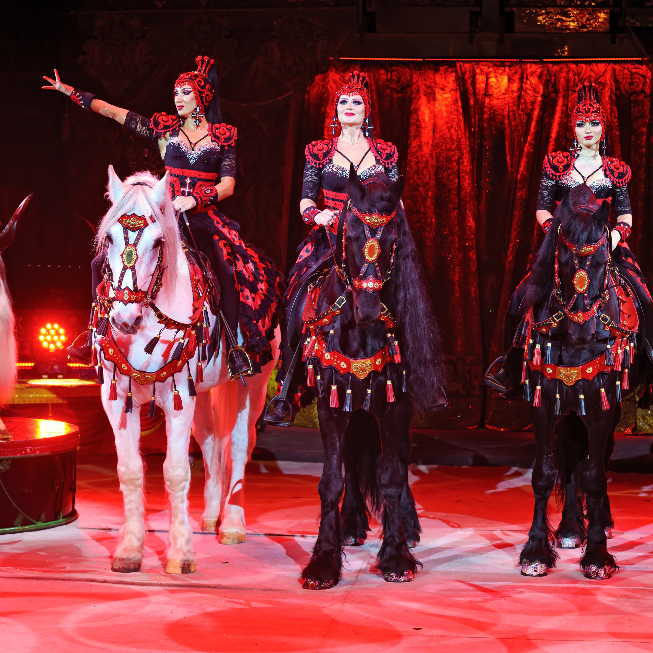 Шоу «Королевский цирк». Фотограф Андрей Пухов (Jazz)