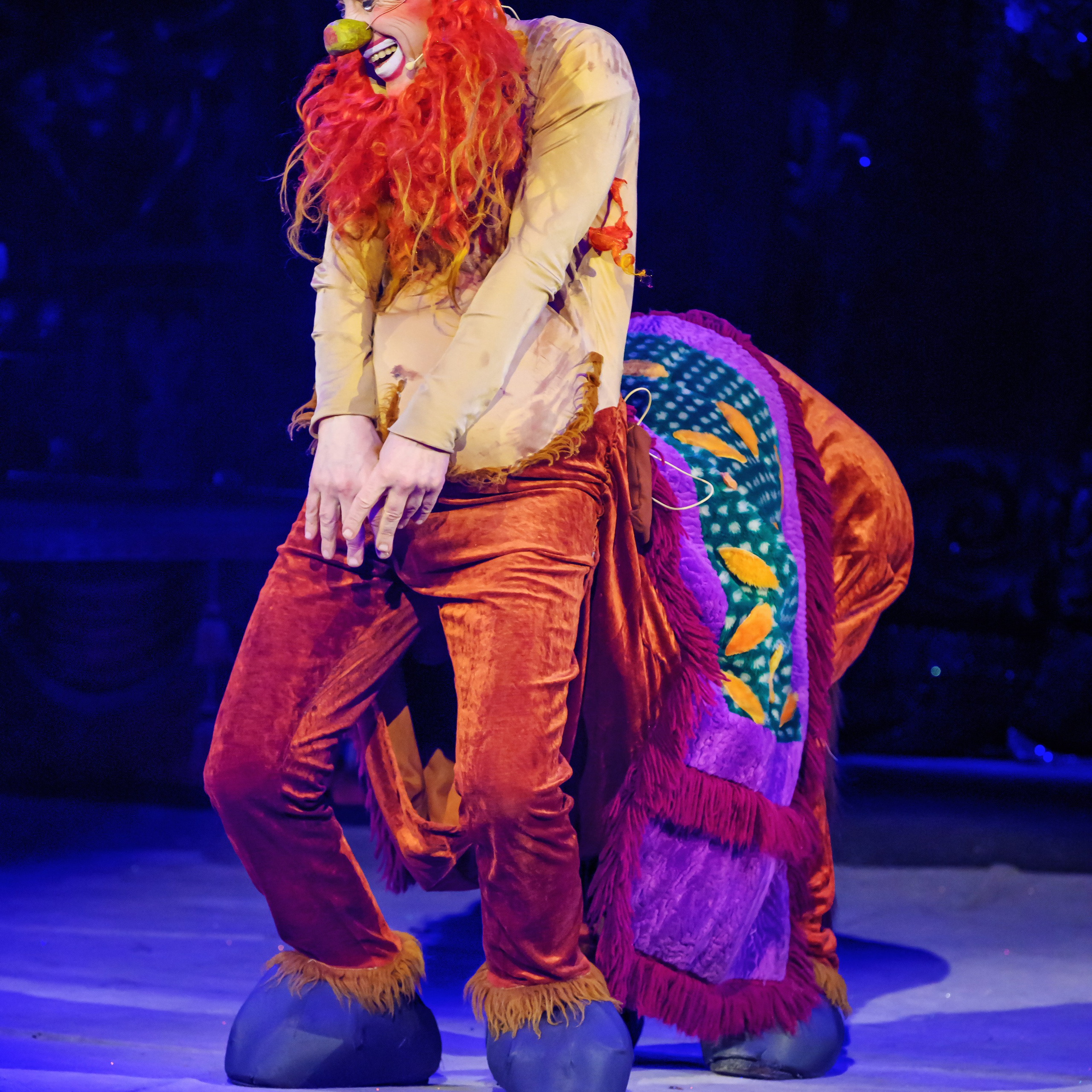 Шоу «Королевский цирк». Фотограф Андрей Пухов (Jazz)