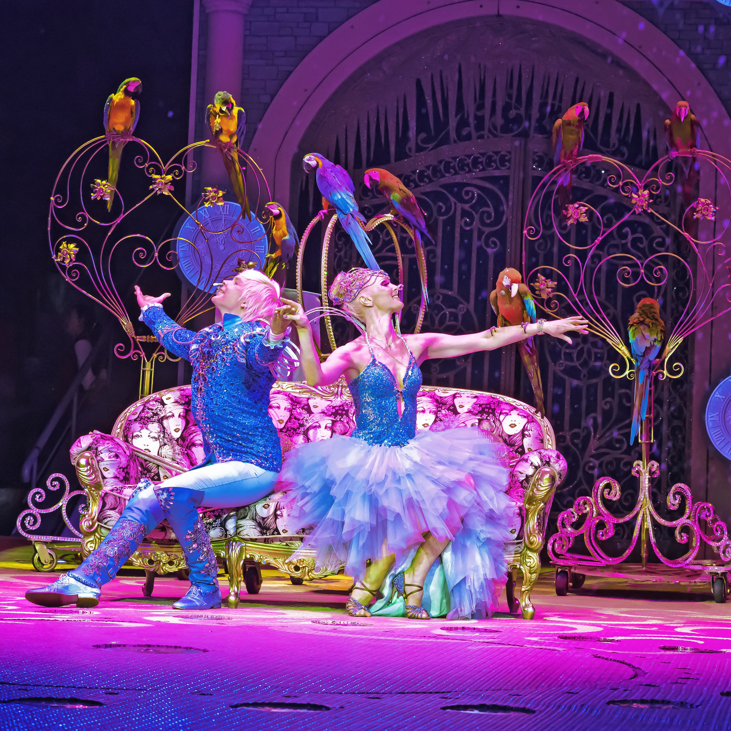 «13 месяцев. Шоу ледяных фонтанов»❄💙. Фотограф Андрей Пухов (Jazz)