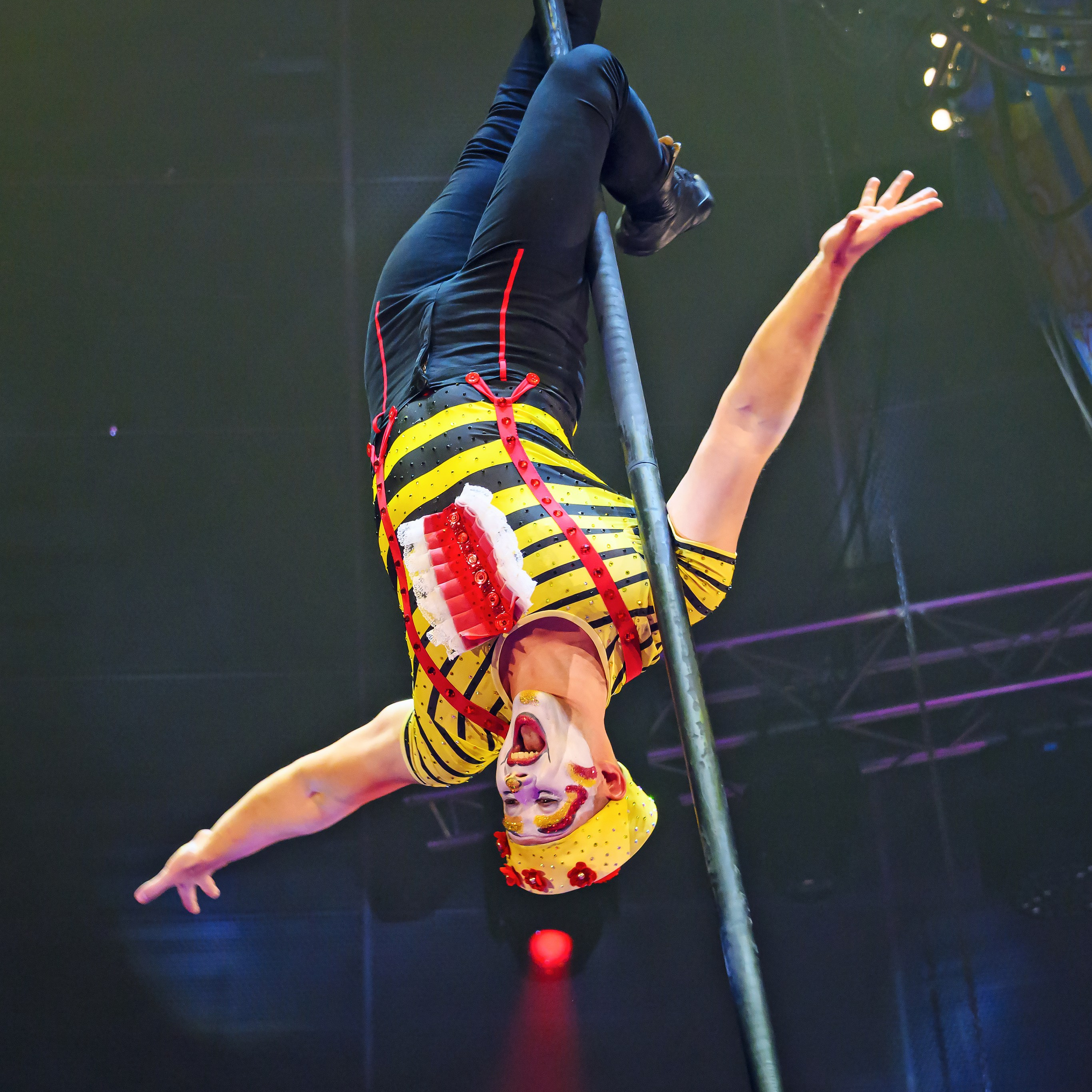 Вечное искусство удивлять: Королевский цирк Гии Эрадзе 👑 Роскошь здесь в каждой детали 💫✨⭐. Фотограф Андрей Пухов (Jazz)