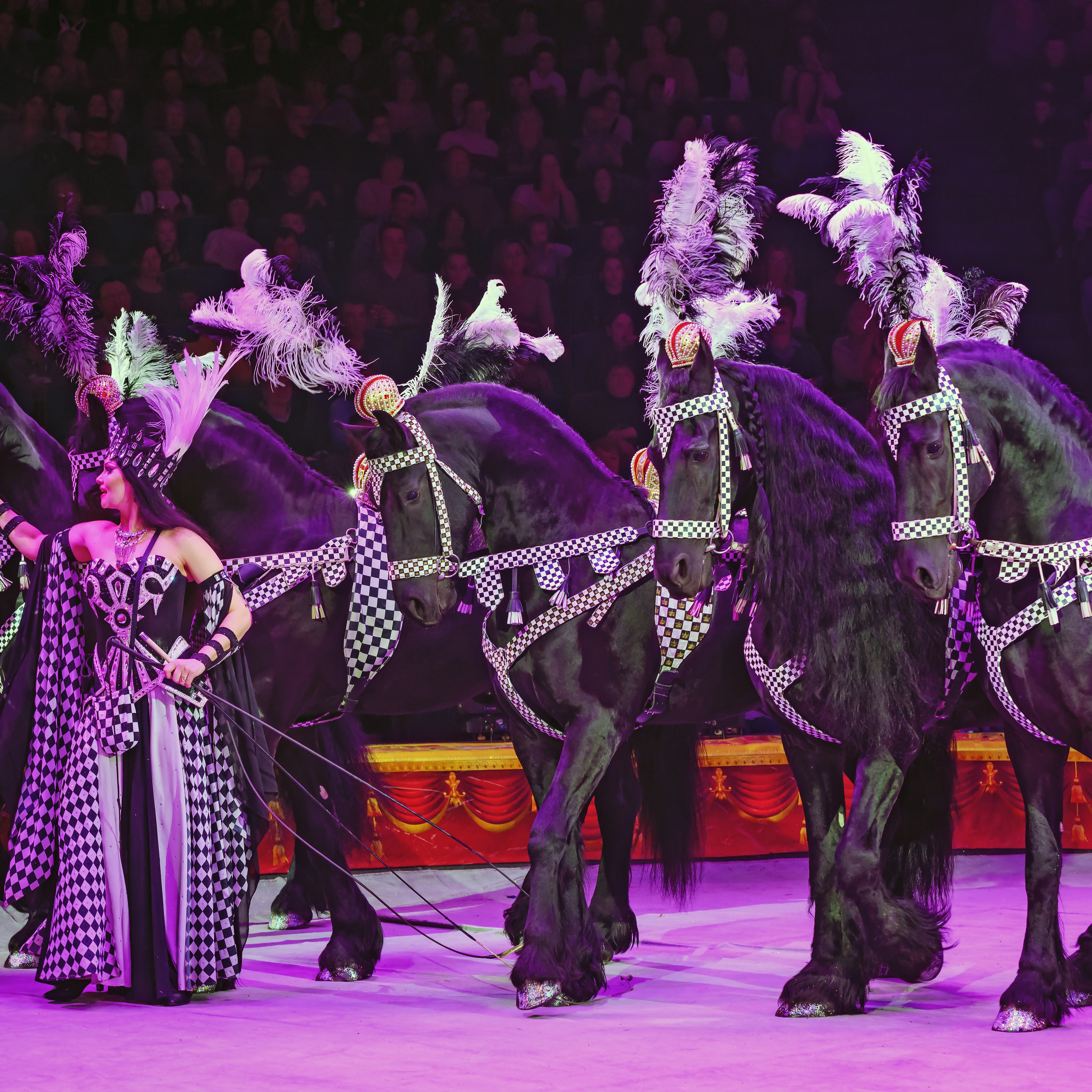 Шоу «Королевский цирк». Фотограф Андрей Пухов (Jazz)