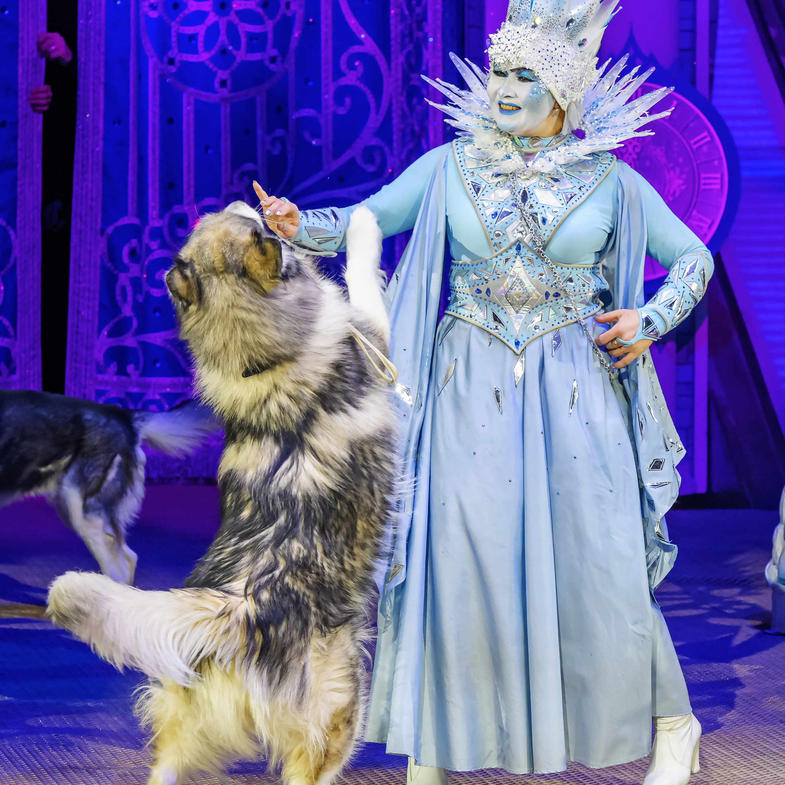 «13 месяцев. Шоу ледяных фонтанов»❄💙. Фотограф Андрей Пухов (Jazz)