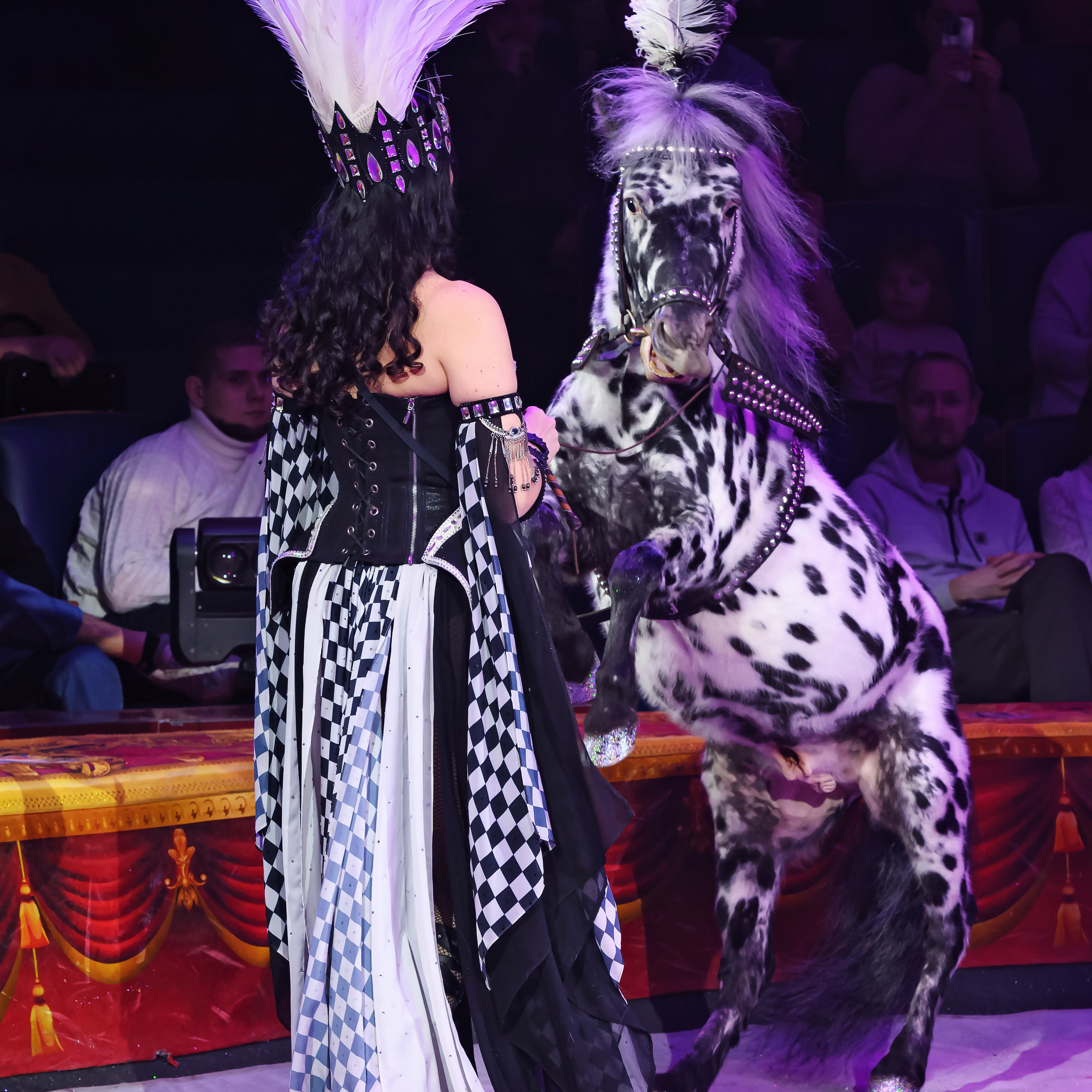 ГРАНДИОЗНОЕ ЦИРКОВОЕ ШОУ ЗАСЛУЖЕННОГО АРТИСТА РОССИИ ГИИ ЭРАДЗЕ. Фотограф Андрей Пухов (Jazz)