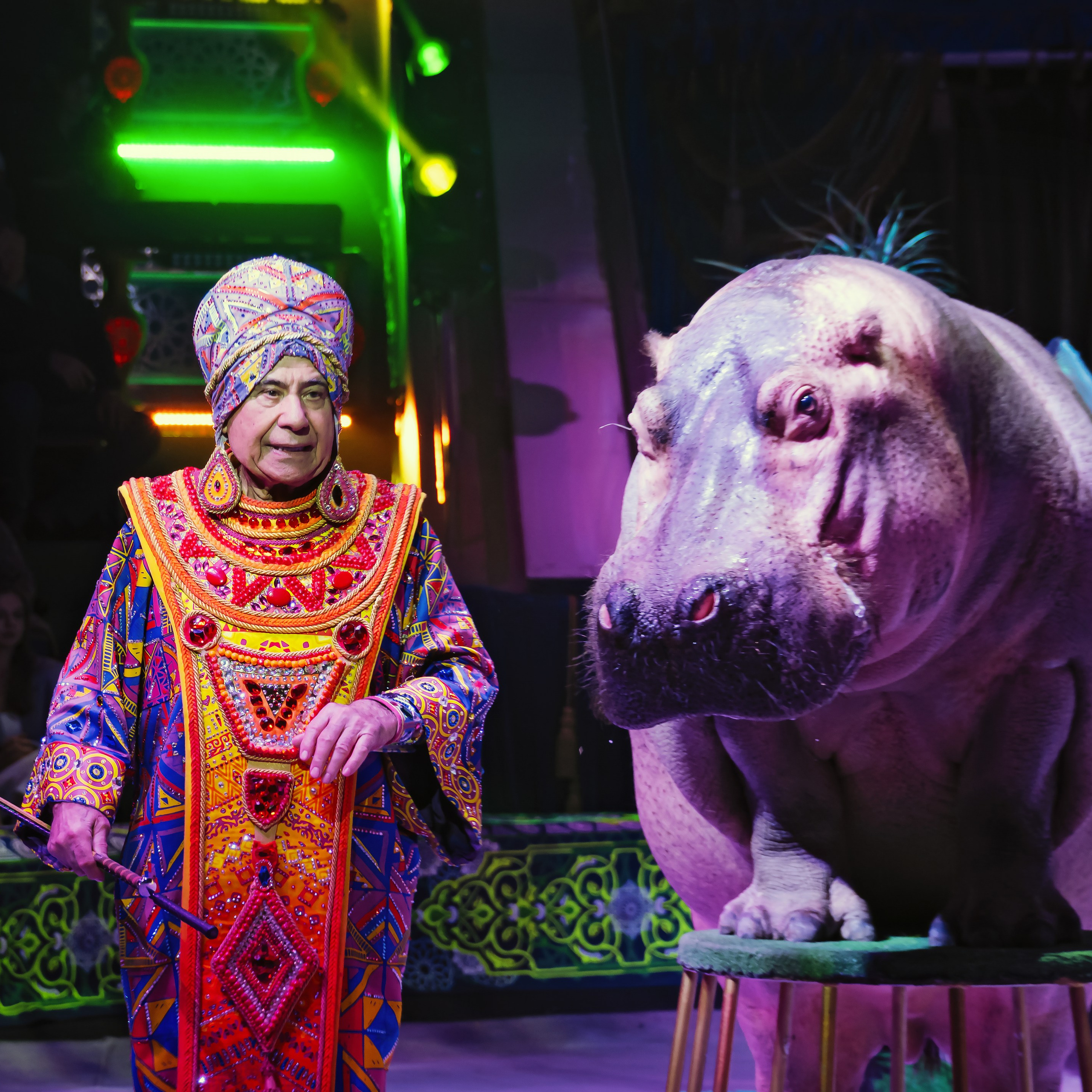 «С окончанием» шоу «Песчаная сказка» в Нижнем Новгороде. ✨🎪🐪. Цирковой фотограф Андрей Пухов (Jazz)
