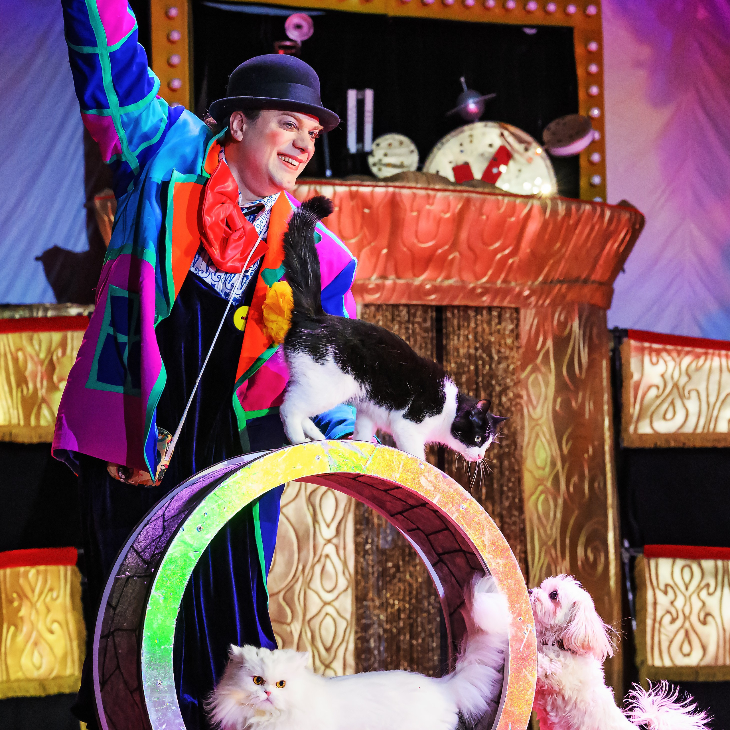 Великий клоун, Народный артист России, Юрий Куклачёв со звёздами эстрады и цирка, уникальный бенефис!. Фотограф Андрей Пухов (Jazz)