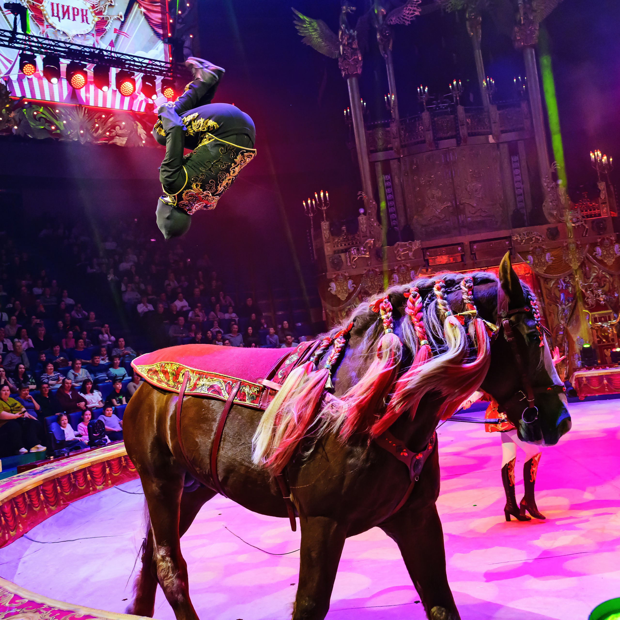 Вечное искусство удивлять: Королевский цирк Гии Эрадзе 👑 Роскошь здесь в каждой детали 💫✨⭐. Фотограф Андрей Пухов (Jazz)
