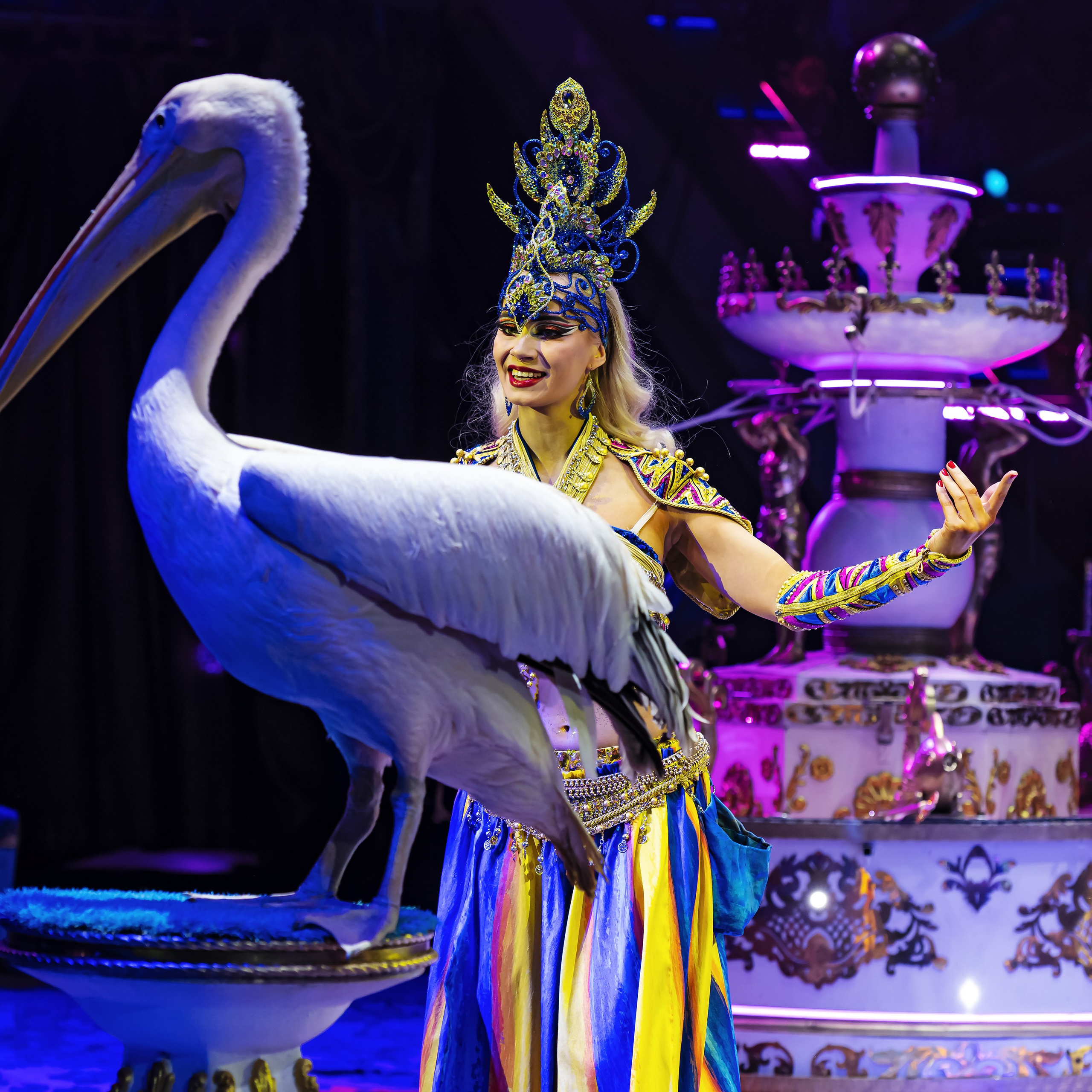 Песчаная сказка — Нижегородский Государственный Цирк (Премьера). Цирковой фотограф Андрей Пухов (Jazz)