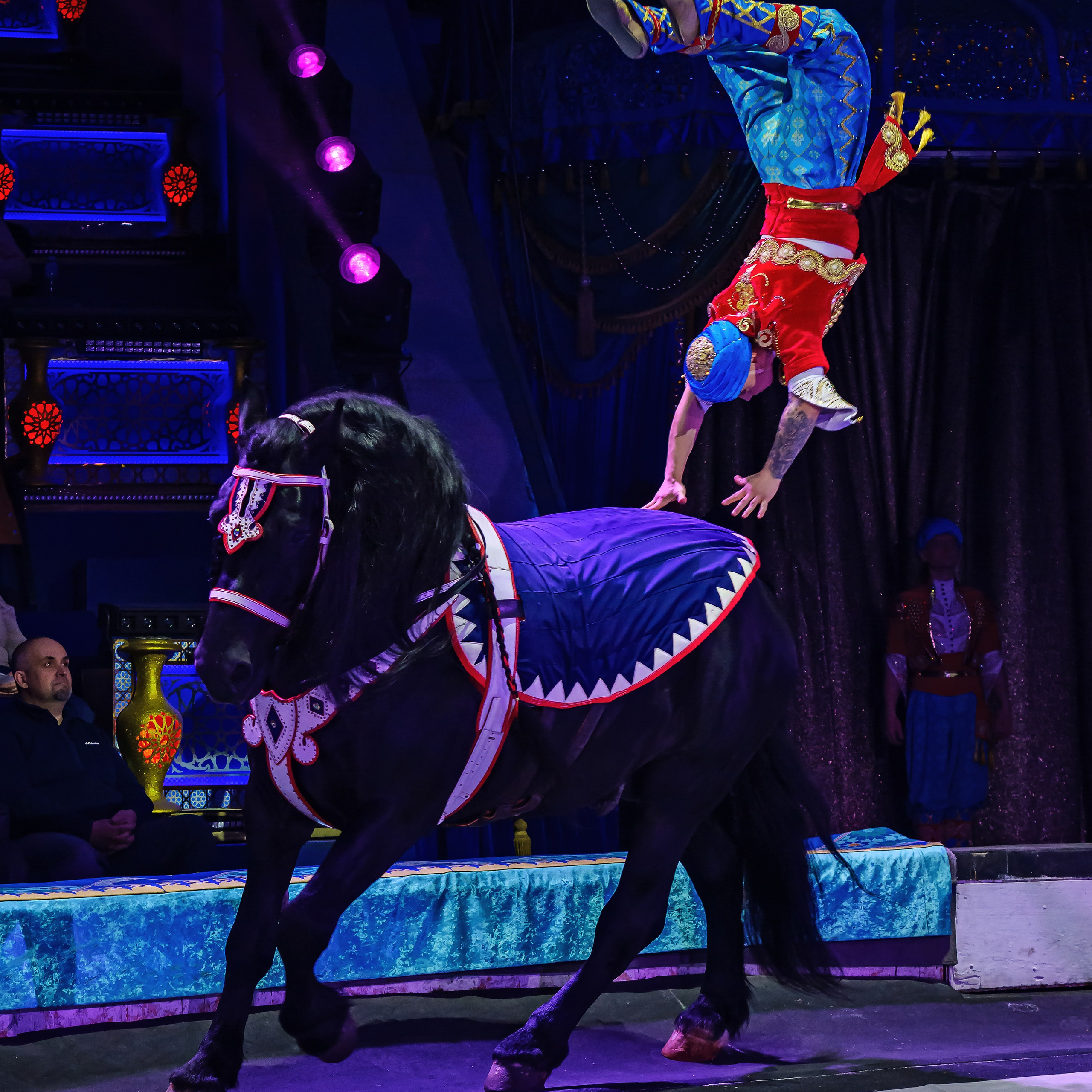 Песчаная сказка — Нижегородский Государственный Цирк (Премьера). Цирковой фотограф Андрей Пухов (Jazz)