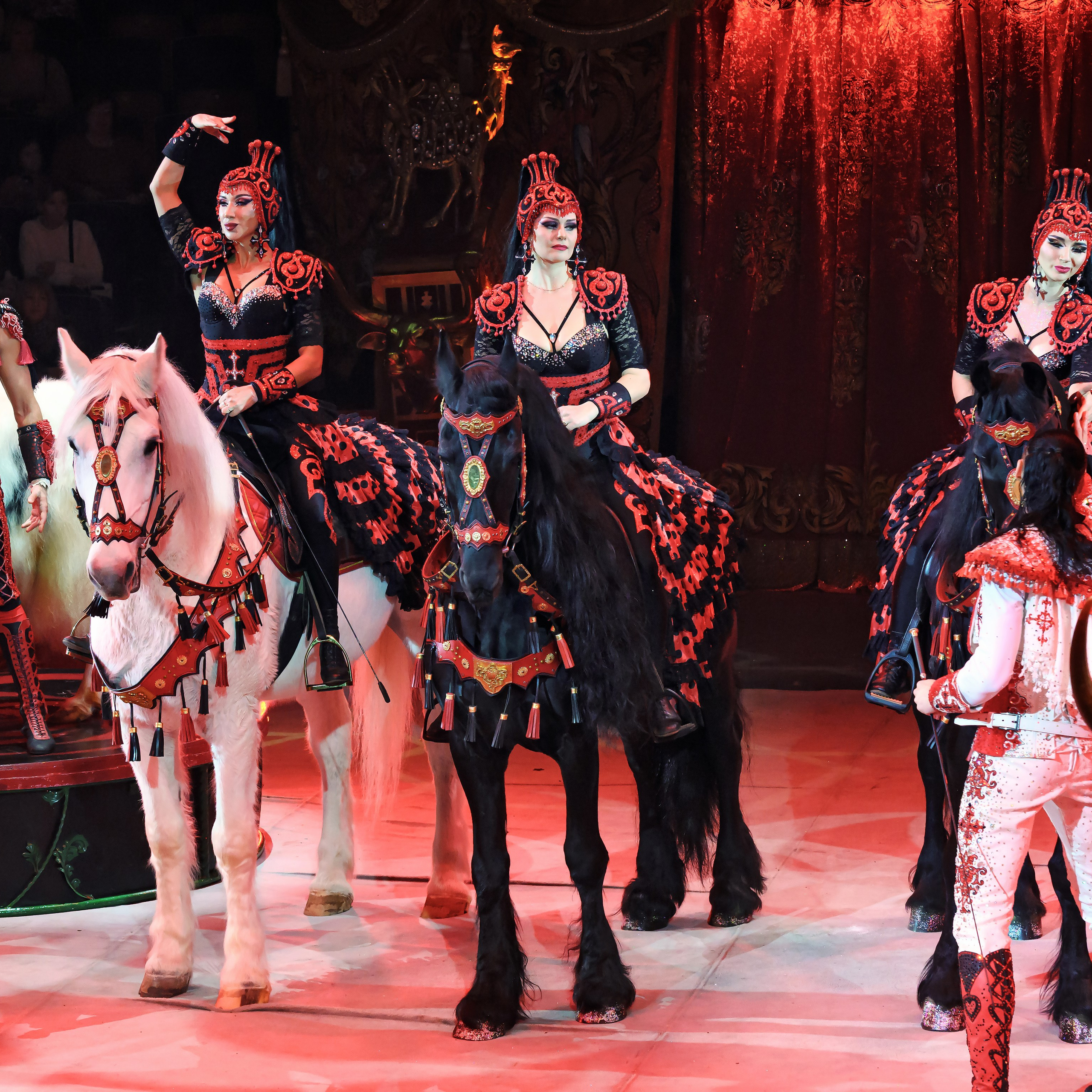 Королевский цирк ПРЕМЬЕРА НН. Фотограф Андрей Пухов (Jazz)