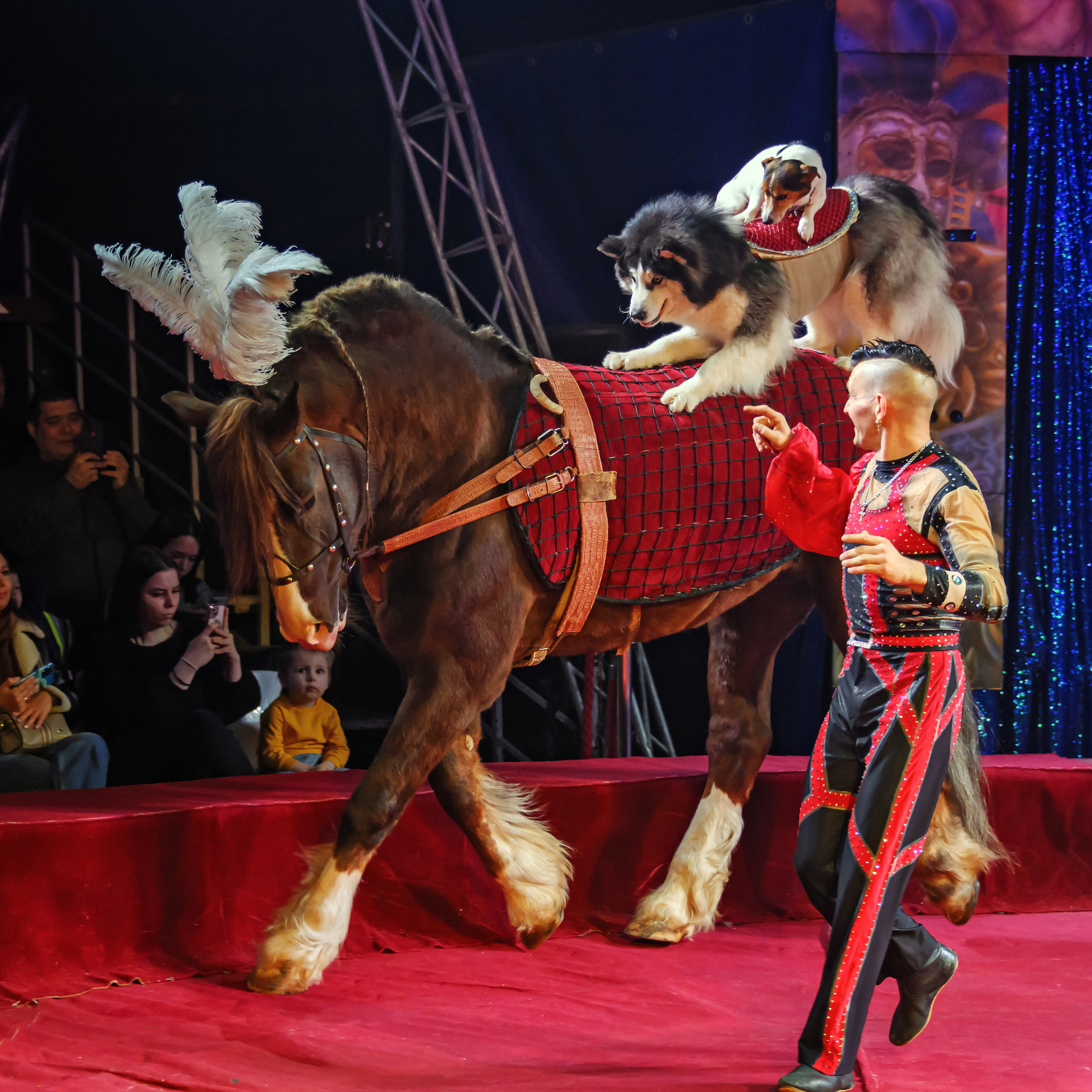 Международный цирк"HAPPY CIRCUS». Фотограф Андрей Пухов (Jazz)