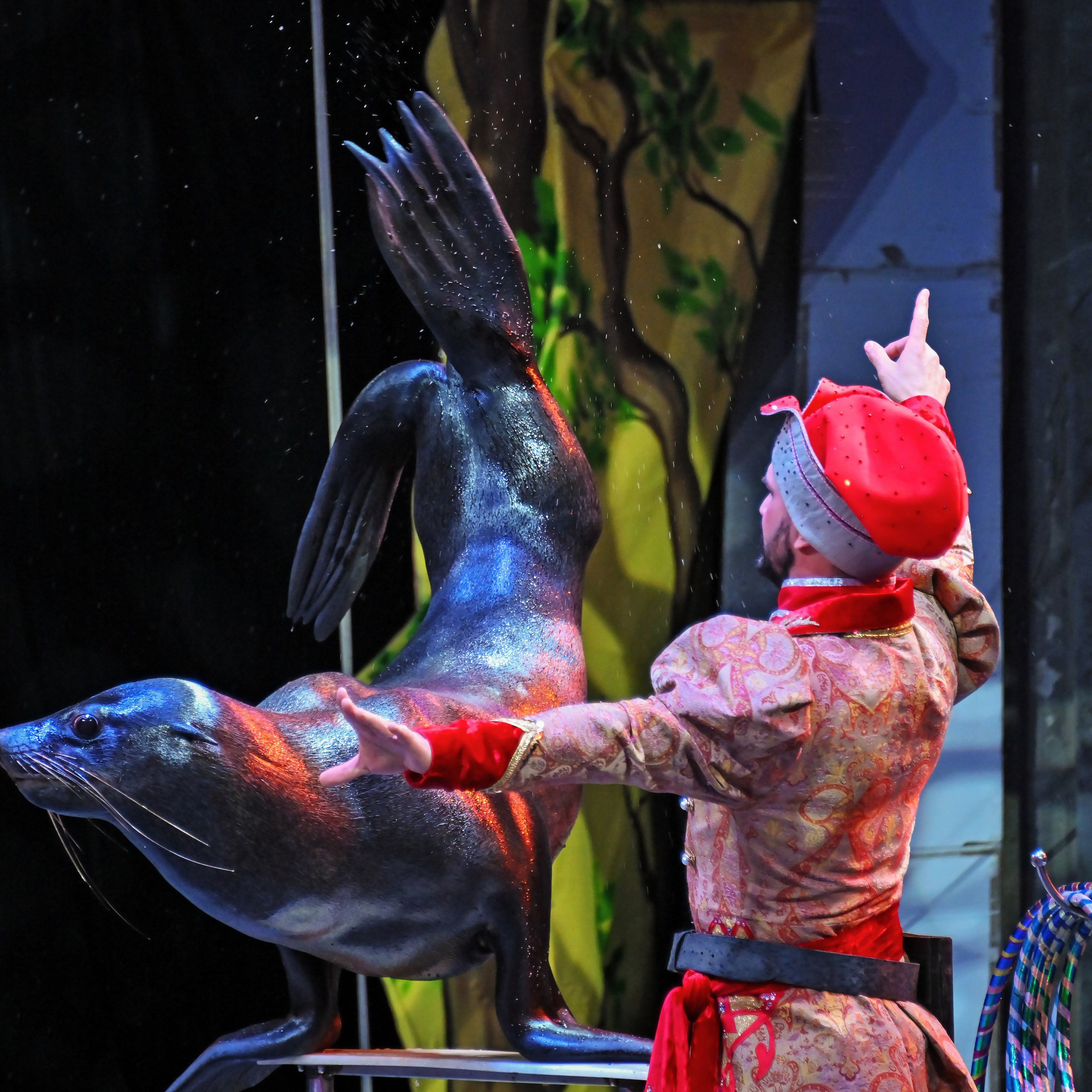 🎪 «Цирк на воде💦 🏰Царство фонтанов**»✨🌊🎭. Фотограф Андрей Пухов (Jazz)