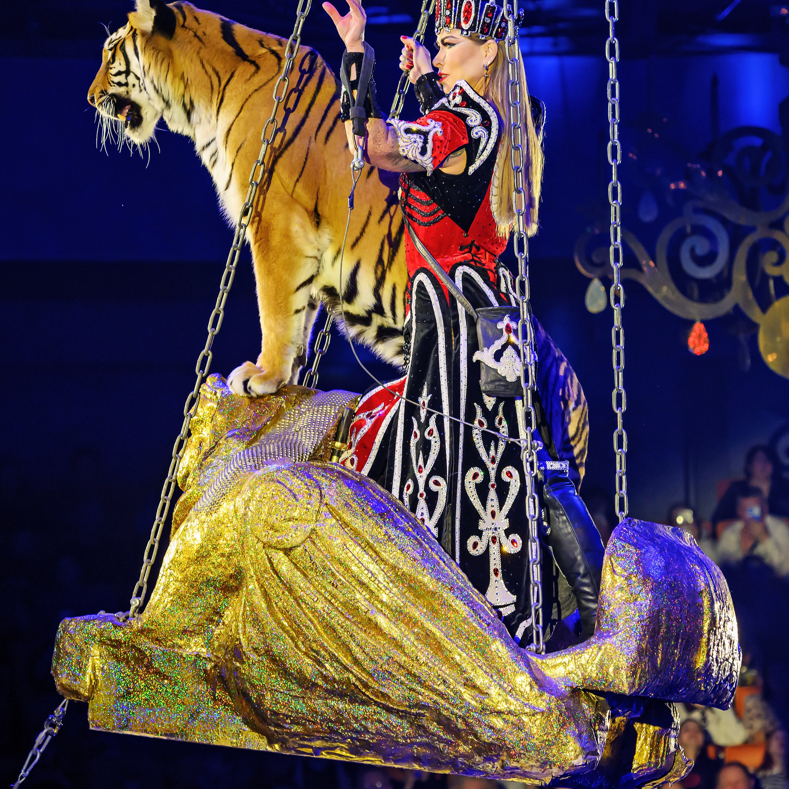 Шоу «Королевский цирк». Фотограф Андрей Пухов (Jazz)