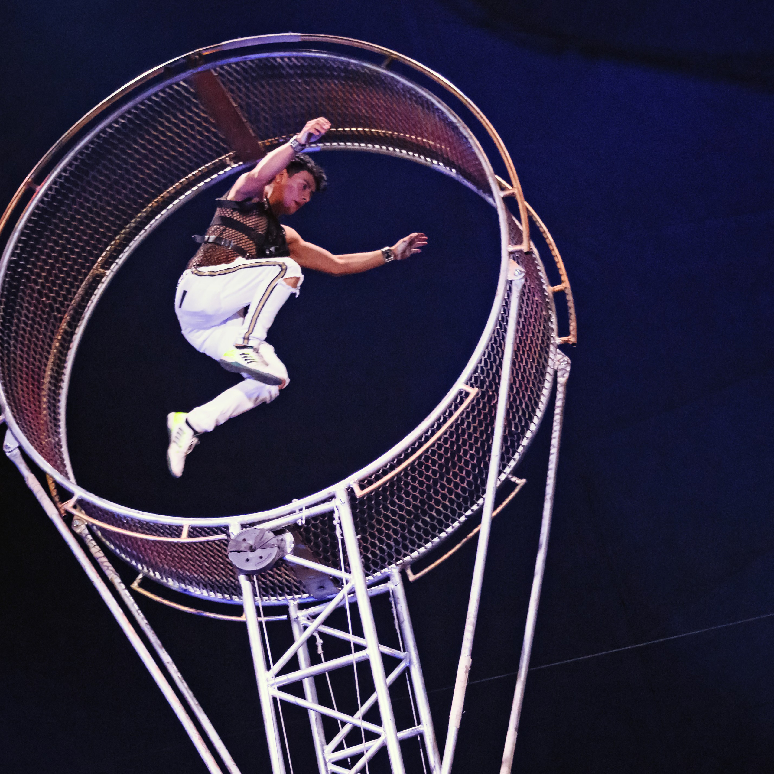 Шоу Демидовых. Цирковой фотограф Андрей Пухов (Jazz)