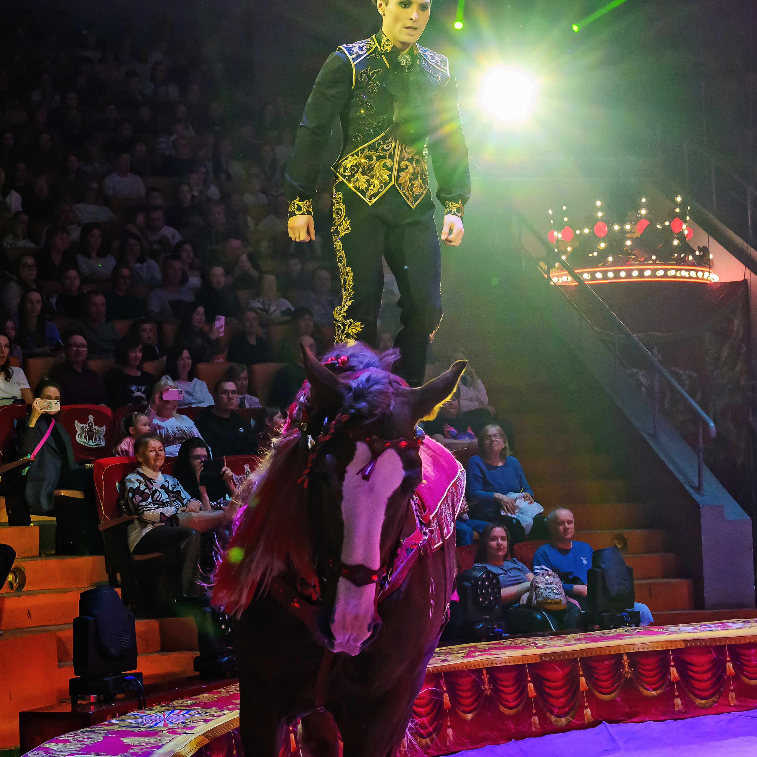 Royal Circus (новые номера). Фотограф Андрей Пухов (Jazz)