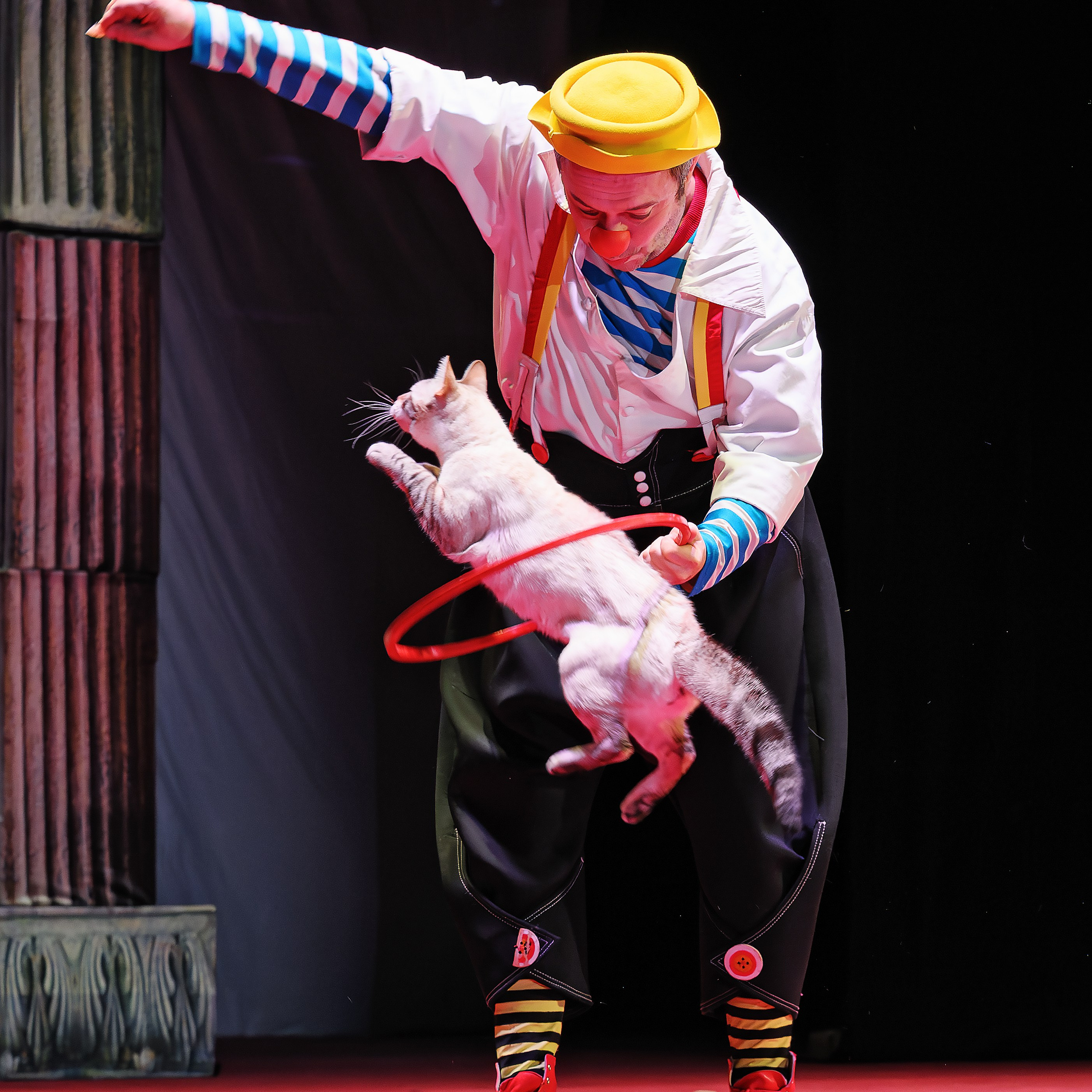 Великий клоун, Народный артист России, Юрий Куклачёв со звёздами эстрады и цирка, уникальный бенефис!. Фотограф Андрей Пухов (Jazz)