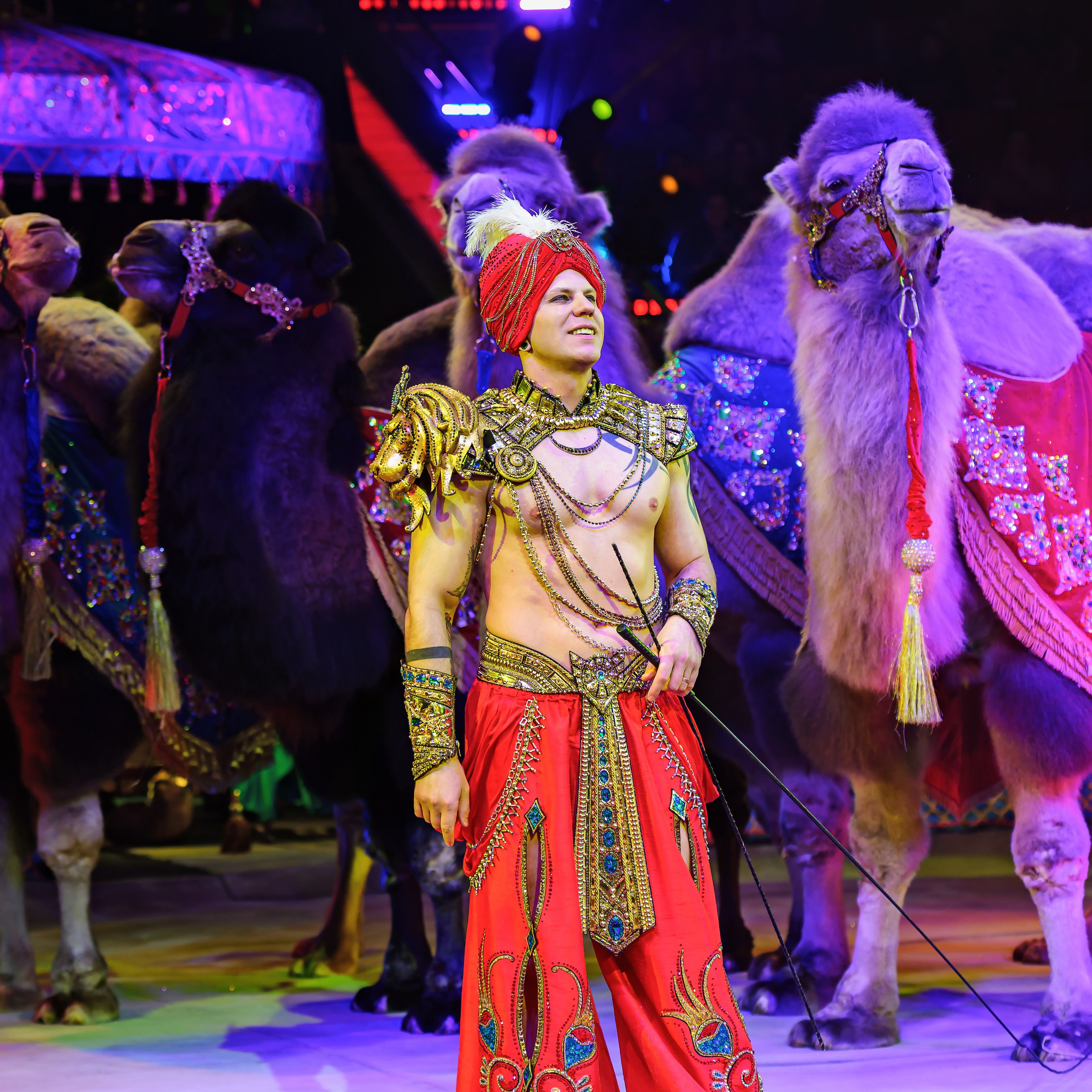 Песчаная сказка — Нижегородский Государственный Цирк (Премьера). Цирковой фотограф Андрей Пухов (Jazz)