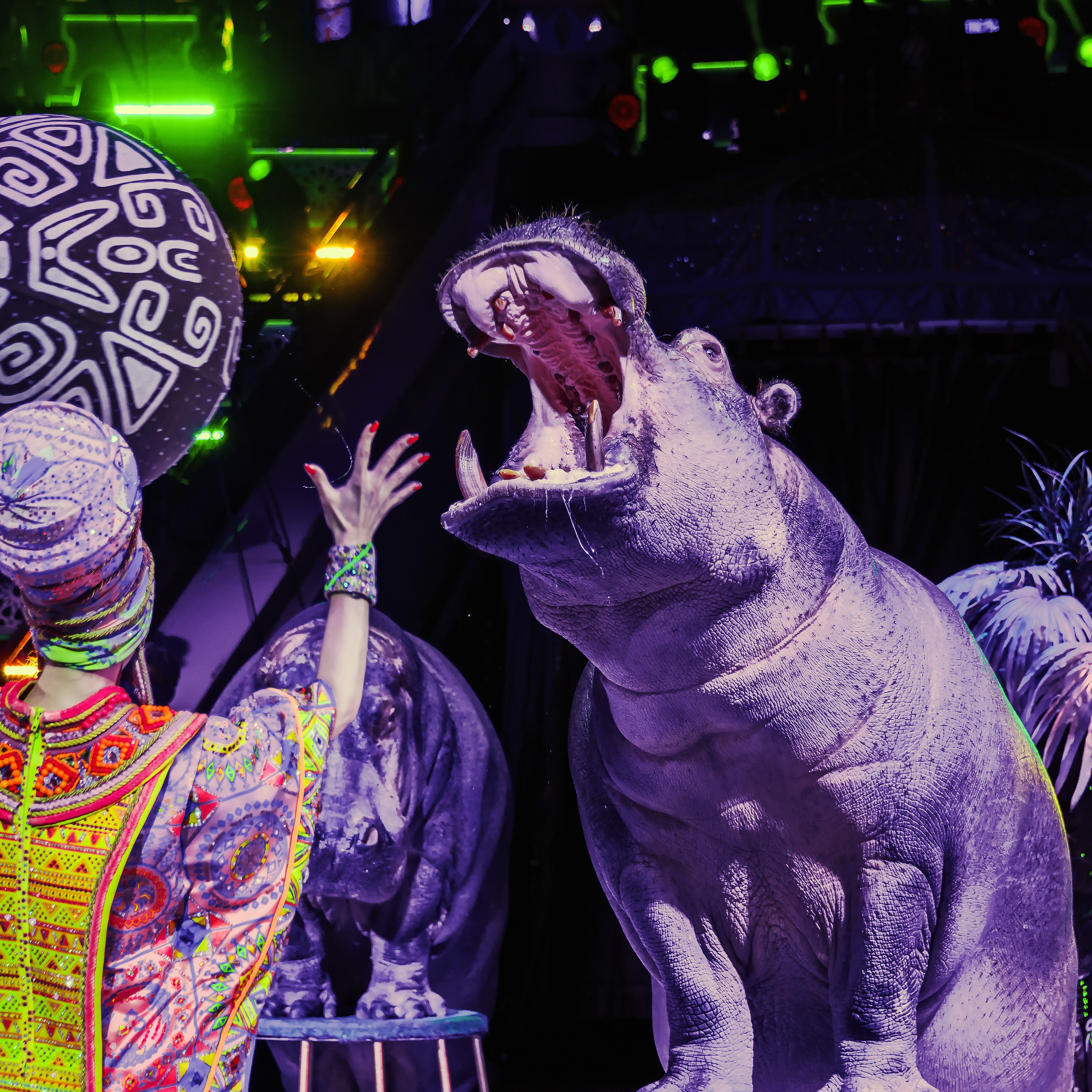 Песчаная сказка Гии Эрадзе — волшебное шоу 🎪, которое должен увидеть каждый, кто ценит красоту🌹, талант 🎭 и умение мечтать 💫. Цирковой фотограф Андрей Пухов (Jazz)