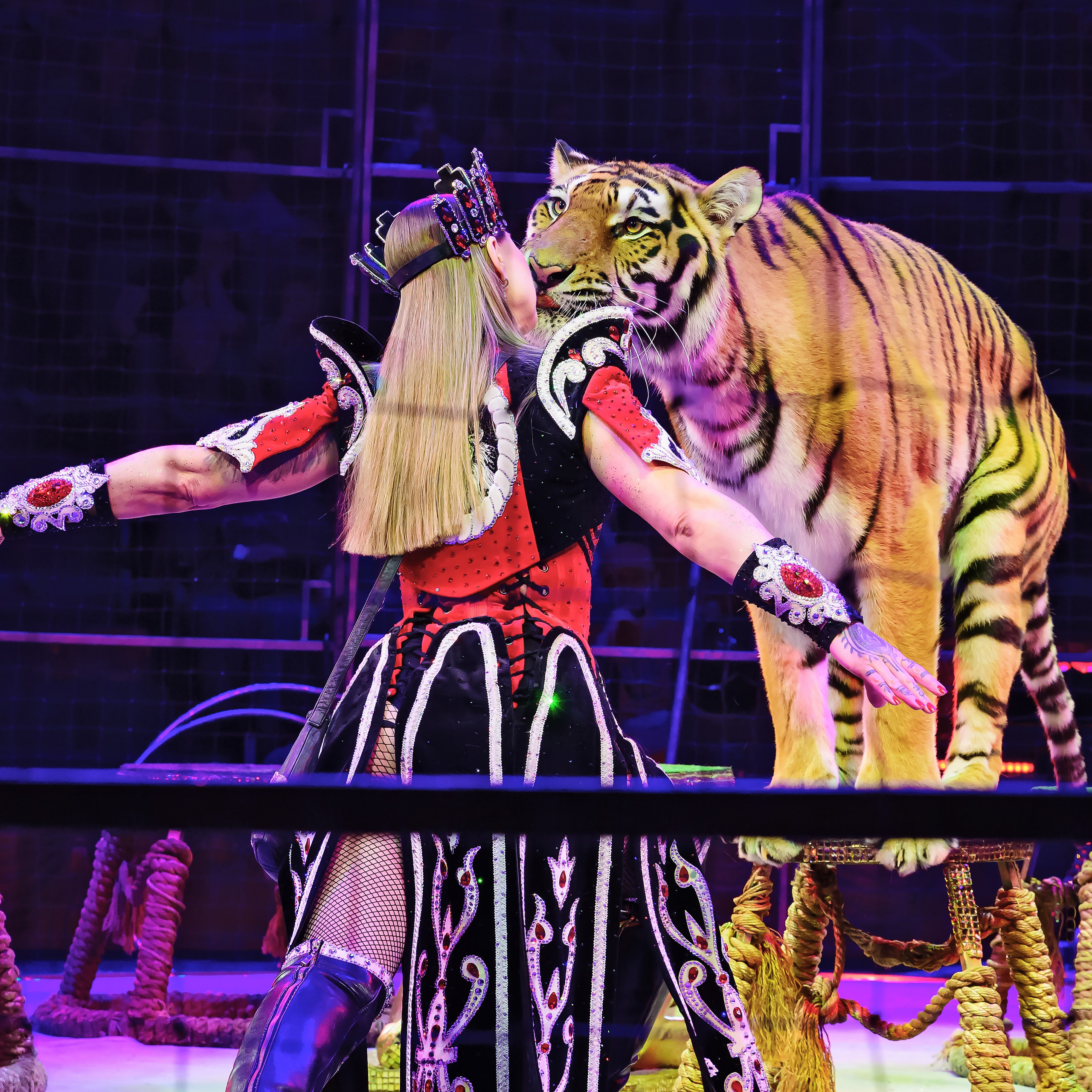 Royal Circus (новые номера). Фотограф Андрей Пухов (Jazz)