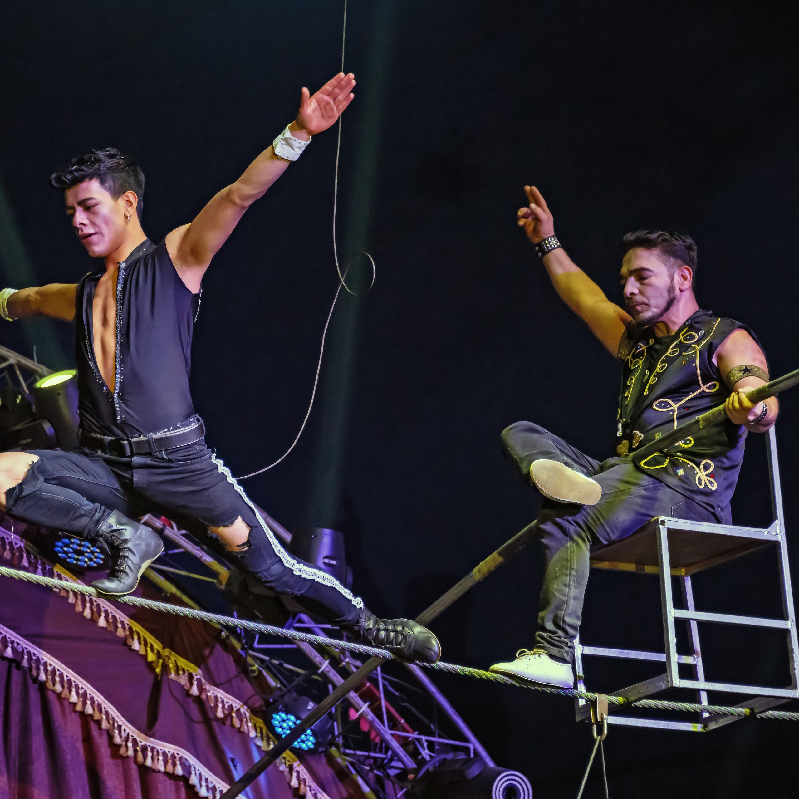 Шоу Демидовых. Цирковой фотограф Андрей Пухов (Jazz)