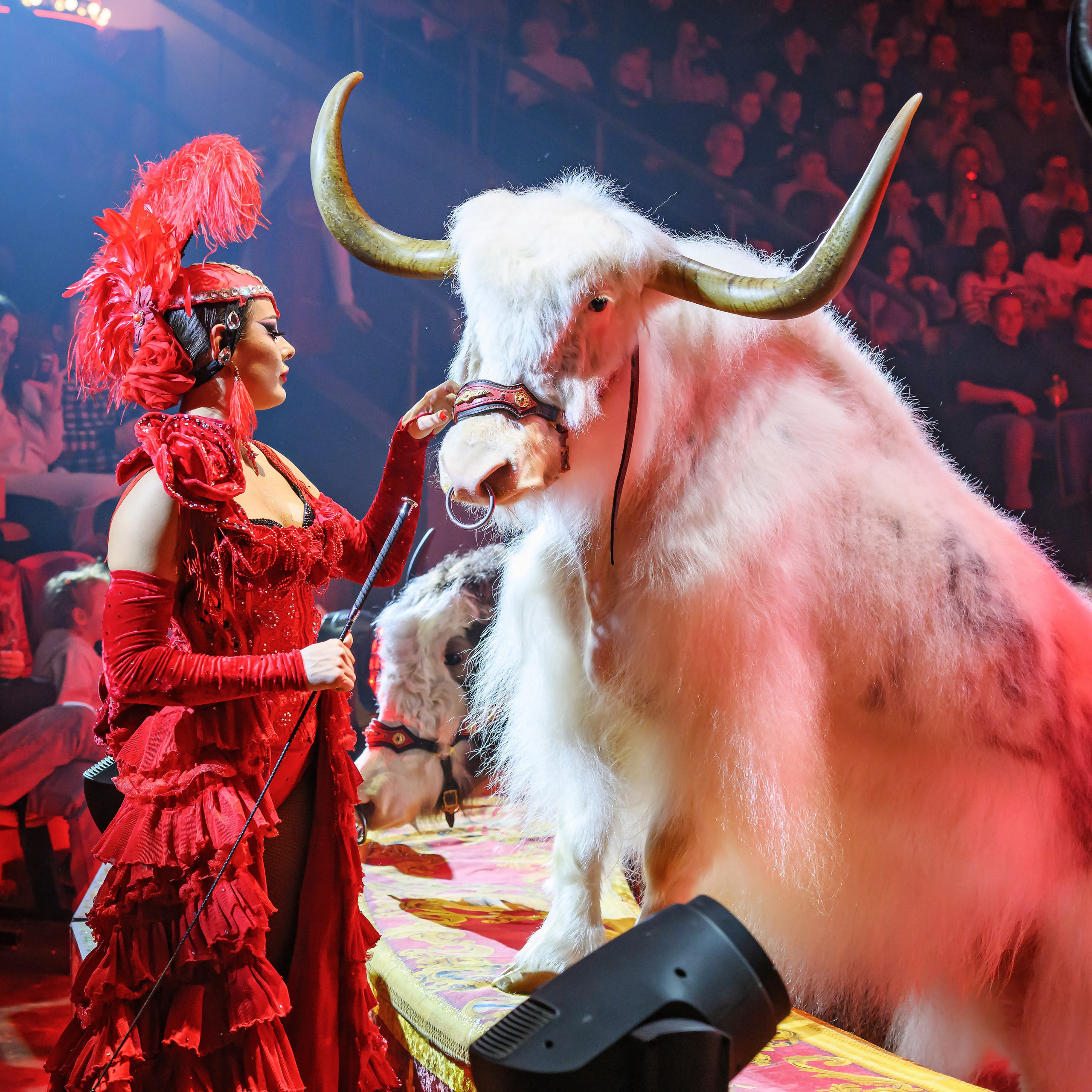 ГРАНДИОЗНОЕ ЦИРКОВОЕ ШОУ ЗАСЛУЖЕННОГО АРТИСТА РОССИИ ГИИ ЭРАДЗЕ. Фотограф Андрей Пухов (Jazz)