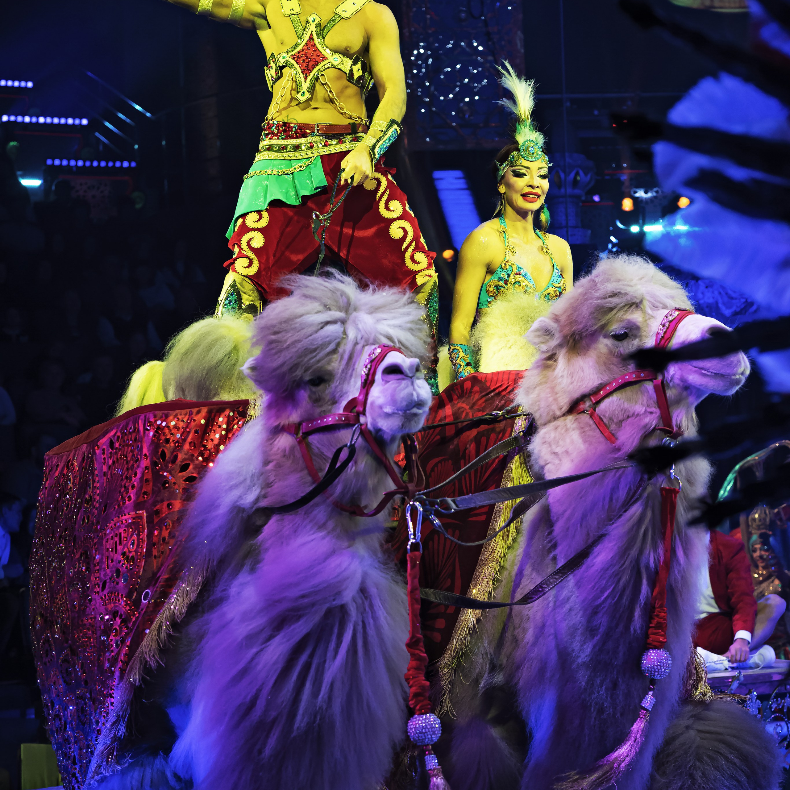Песчаная сказка — Нижегородский Государственный Цирк (Премьера). Цирковой фотограф Андрей Пухов (Jazz)