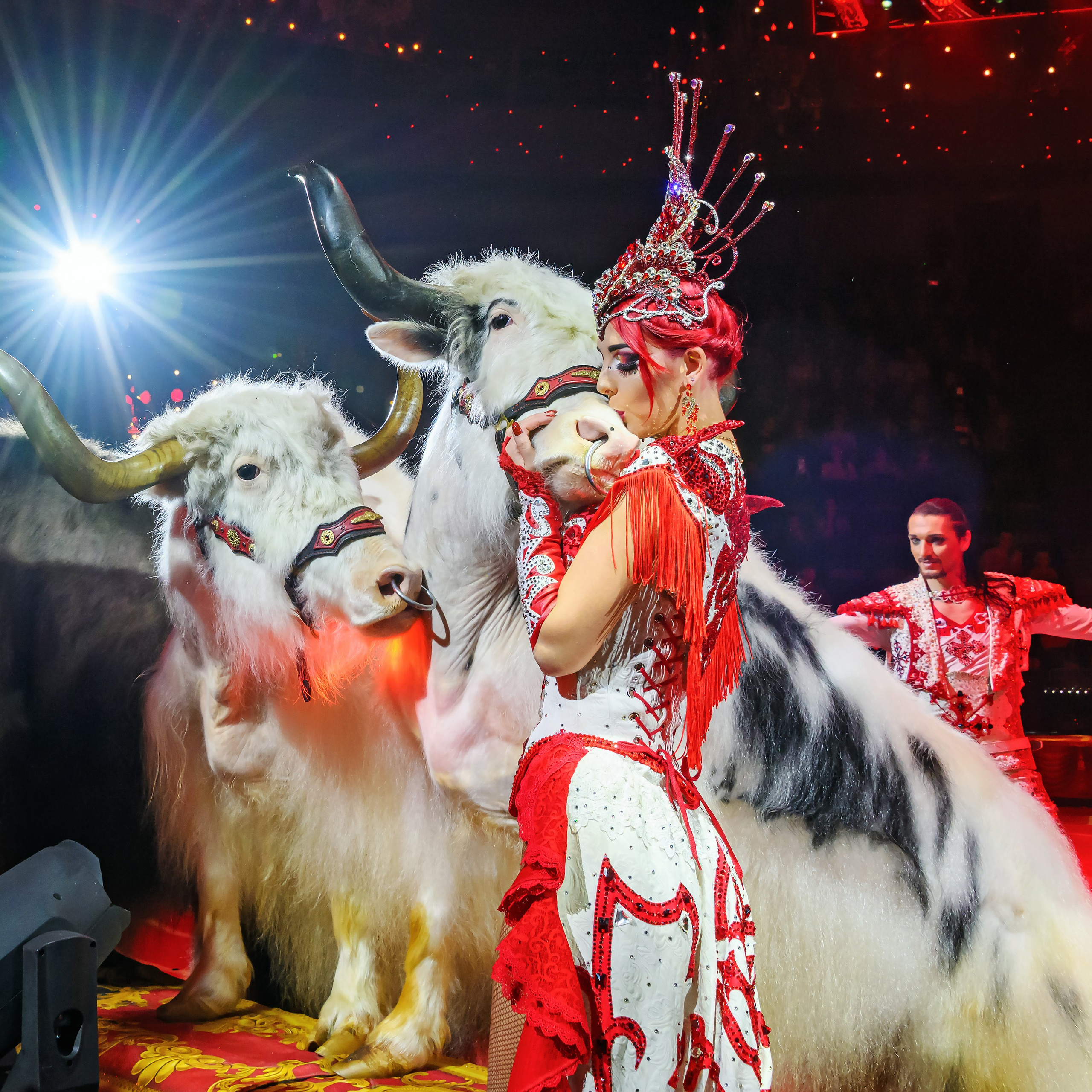 Вечное искусство удивлять: Королевский цирк Гии Эрадзе 👑 Роскошь здесь в каждой детали 💫✨⭐. Фотограф Андрей Пухов (Jazz)