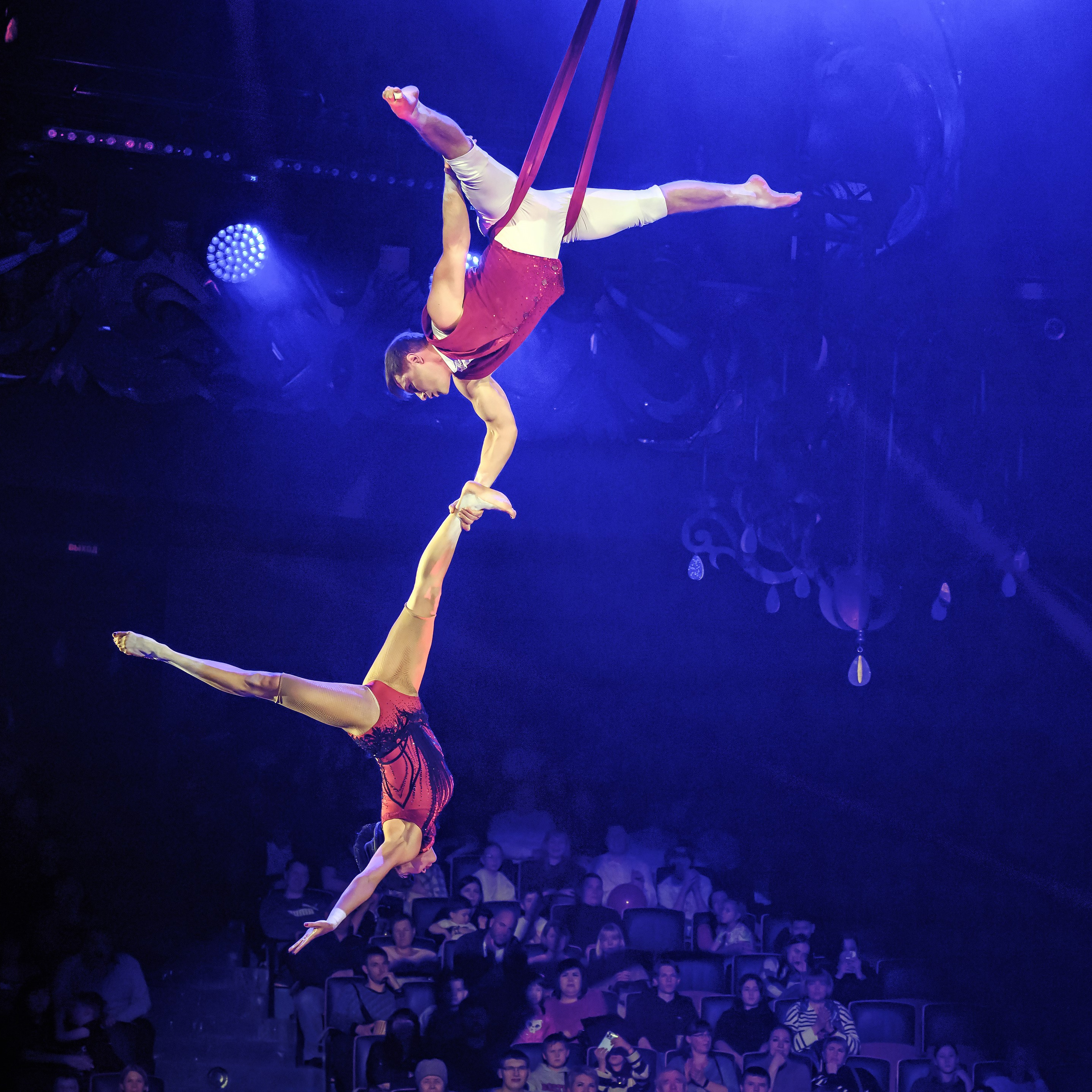 Королевский цирк ПРЕМЬЕРА НН. Фотограф Андрей Пухов (Jazz)