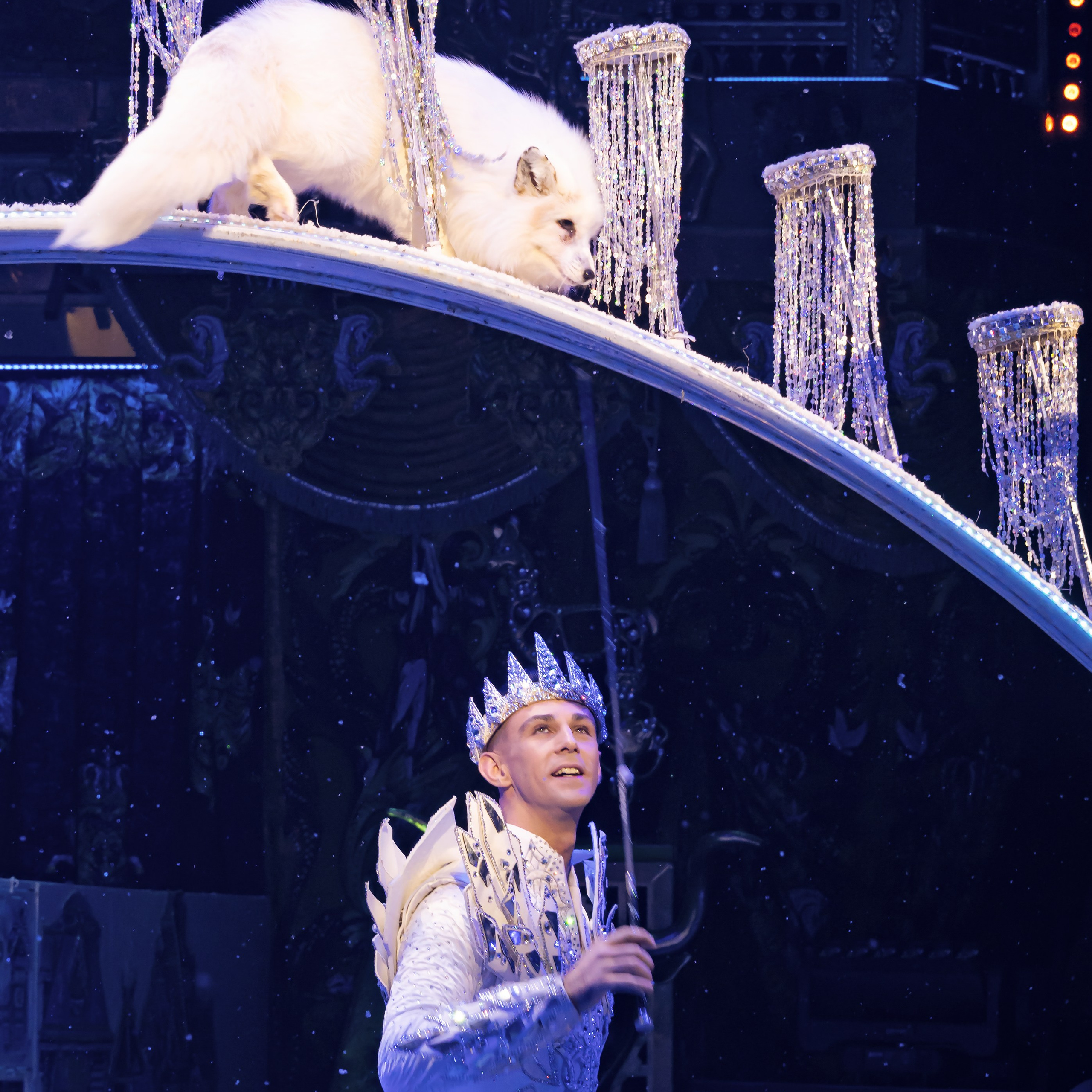 Вечное искусство удивлять: Королевский цирк Гии Эрадзе 👑 Роскошь здесь в каждой детали 💫✨⭐. Фотограф Андрей Пухов (Jazz)