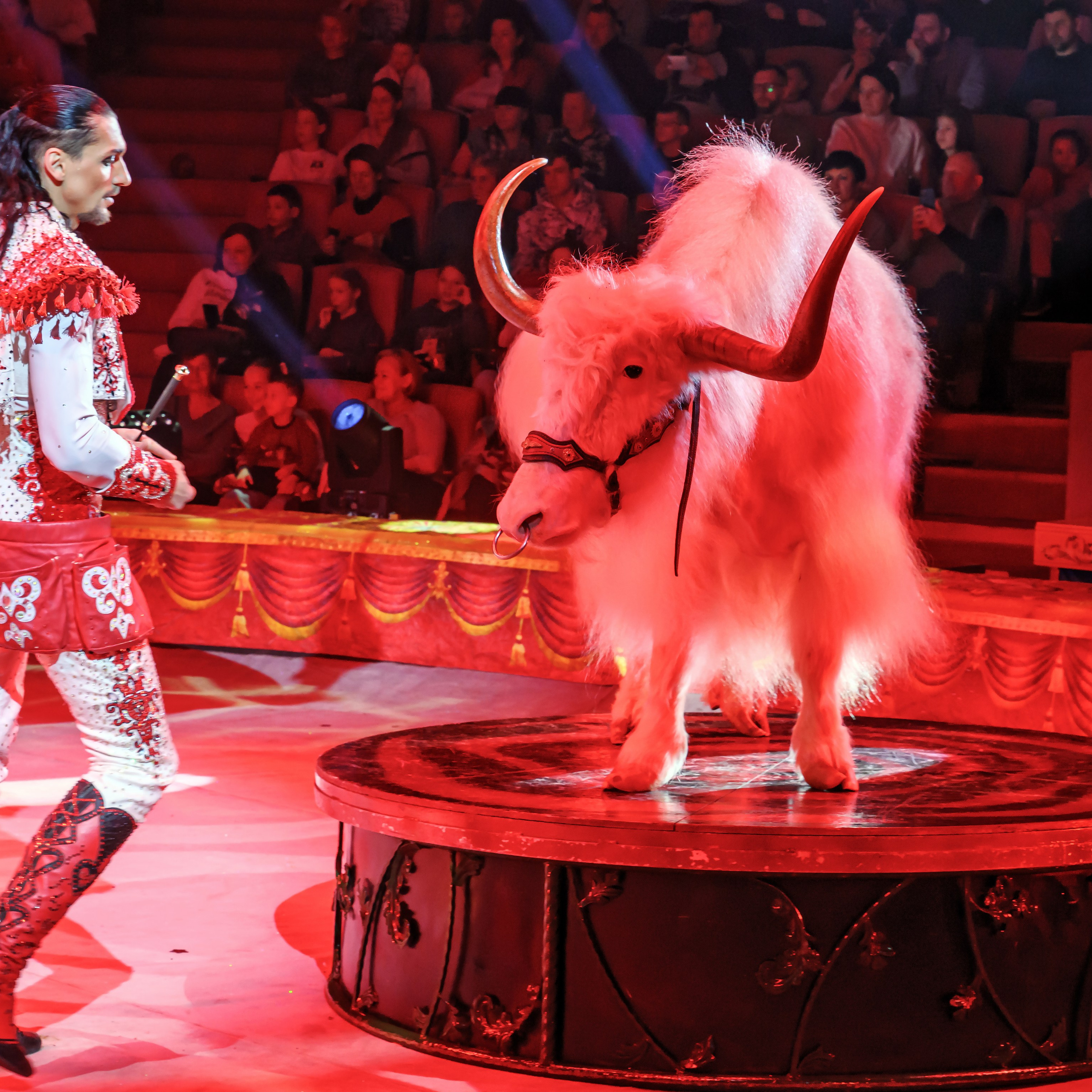 Шоу «Королевский цирк». Фотограф Андрей Пухов (Jazz)