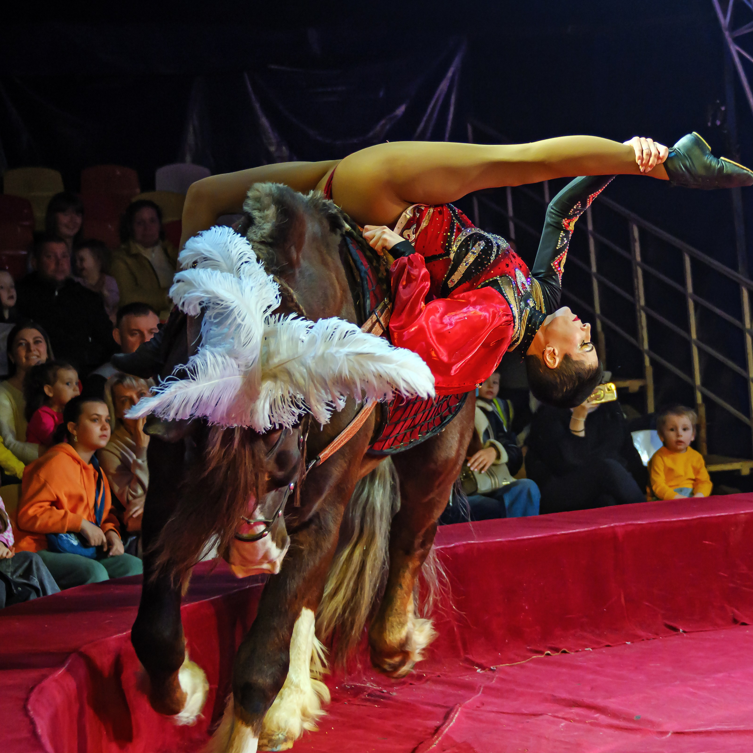 Международный цирк"HAPPY CIRCUS». Фотограф Андрей Пухов (Jazz)