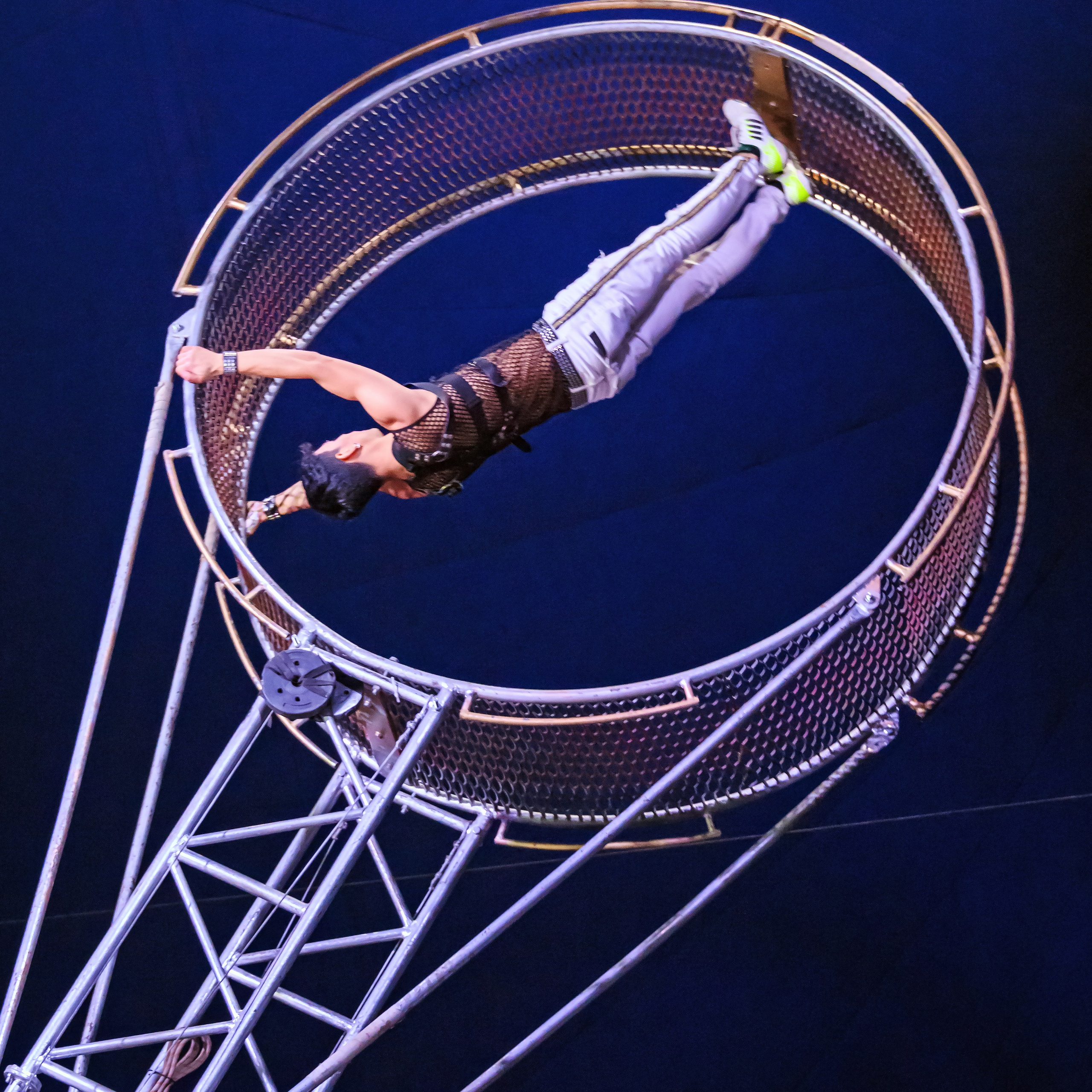 Шоу Демидовых. Цирковой фотограф Андрей Пухов (Jazz)