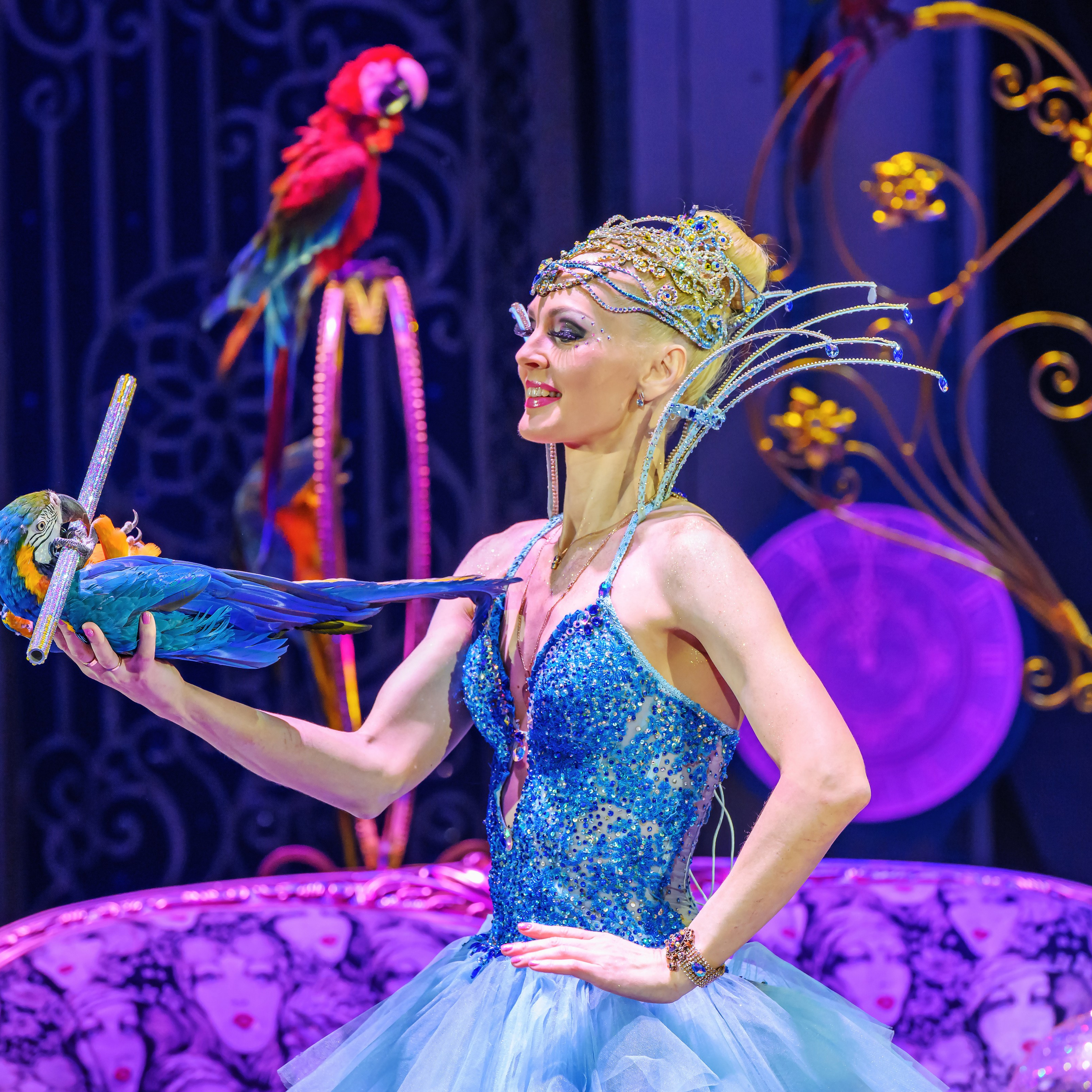 «13 месяцев. Шоу ледяных фонтанов»❄💙. Фотограф Андрей Пухов (Jazz)