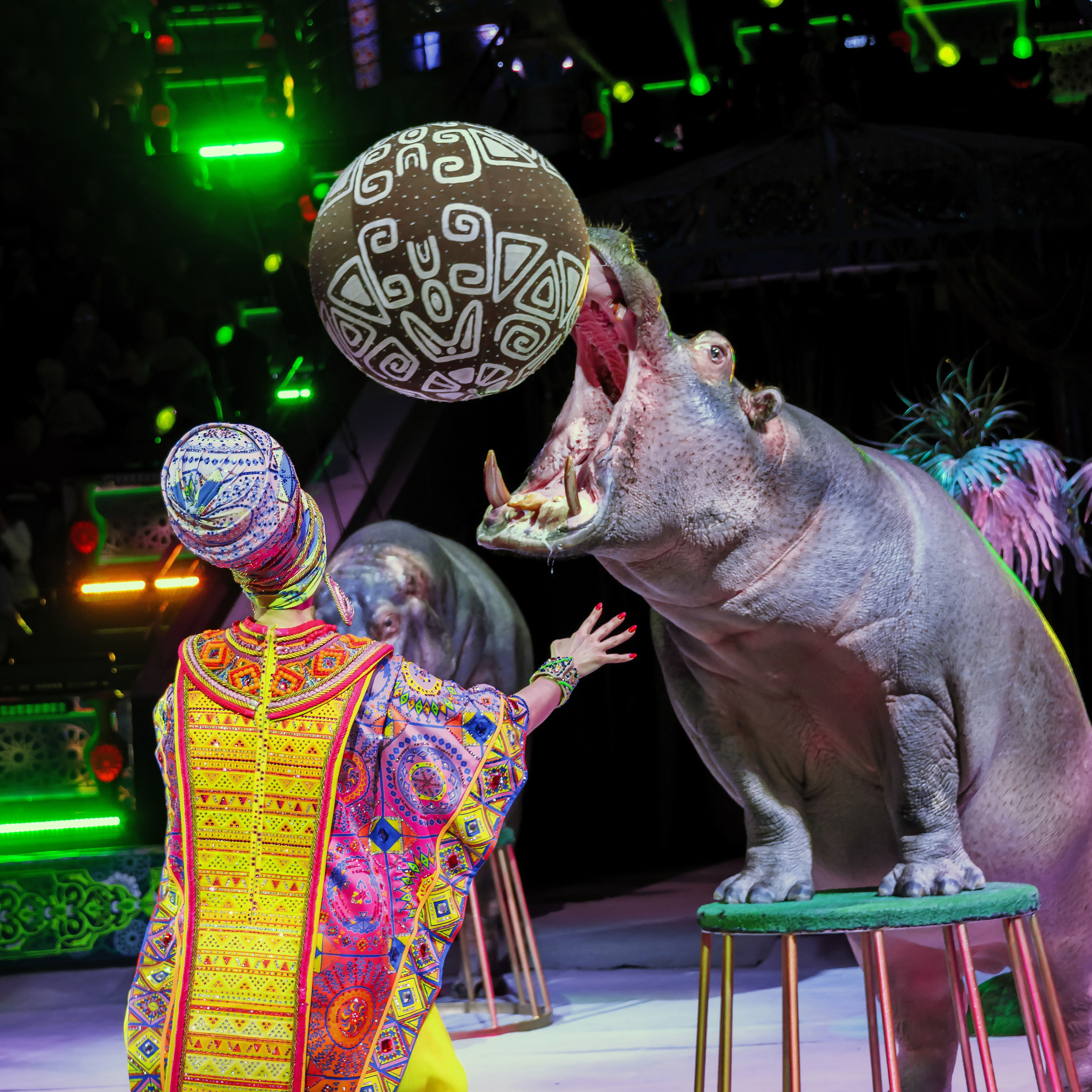 Песчаная сказка Гии Эрадзе — волшебное шоу 🎪, которое должен увидеть каждый, кто ценит красоту🌹, талант 🎭 и умение мечтать 💫. Цирковой фотограф Андрей Пухов (Jazz)