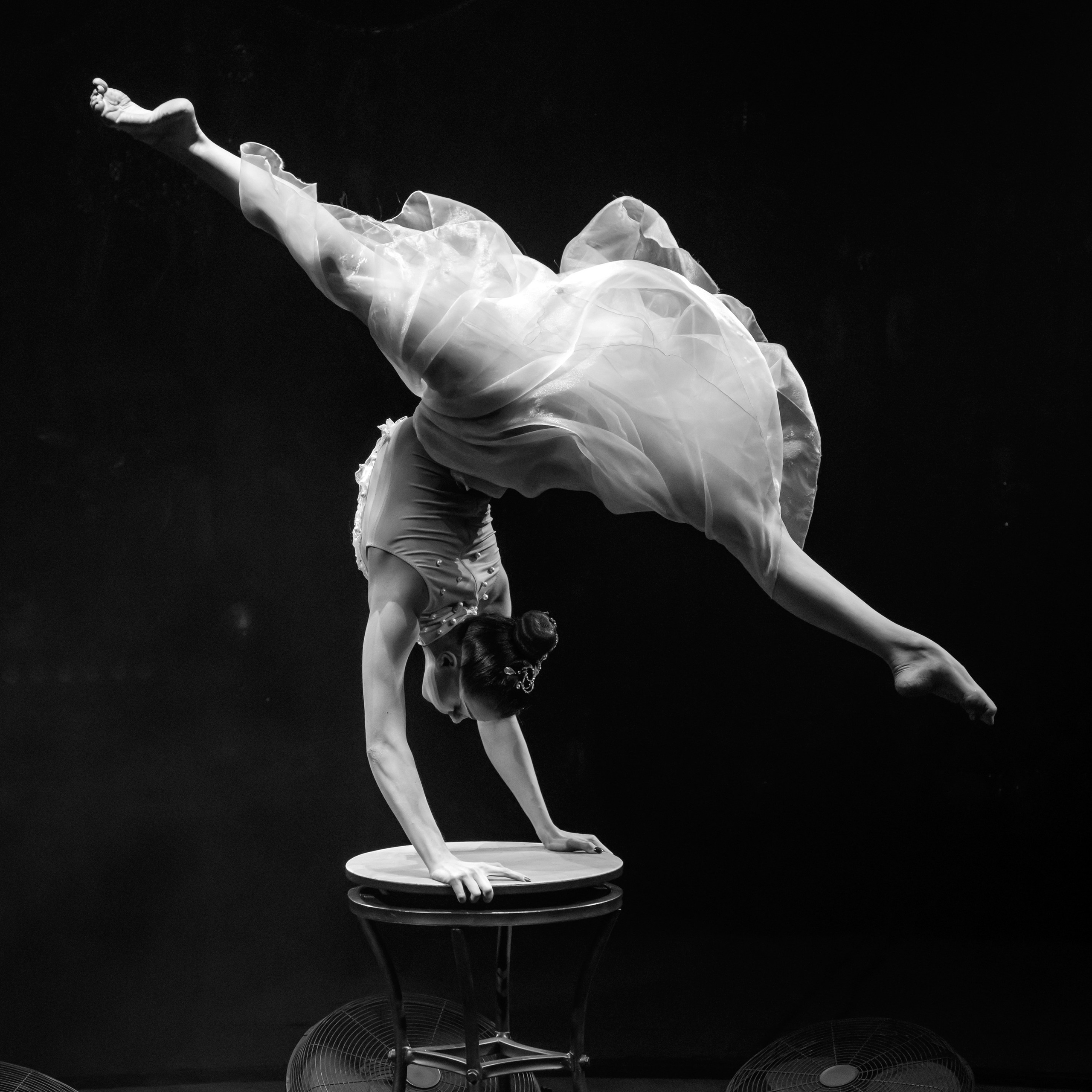 Королевский цирк ПРЕМЬЕРА НН. Фотограф Андрей Пухов (Jazz)