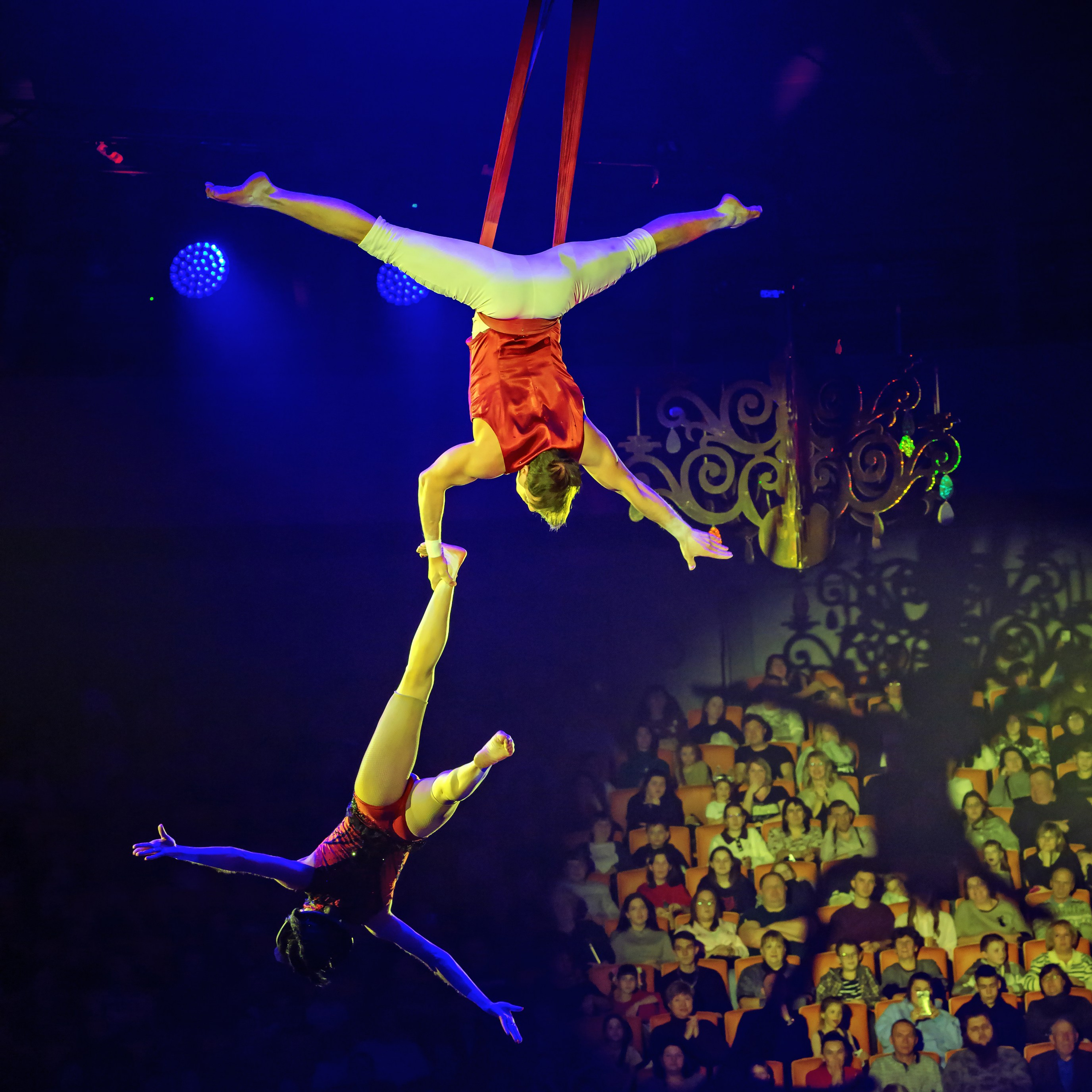 Шоу «Королевский цирк». Фотограф Андрей Пухов (Jazz)
