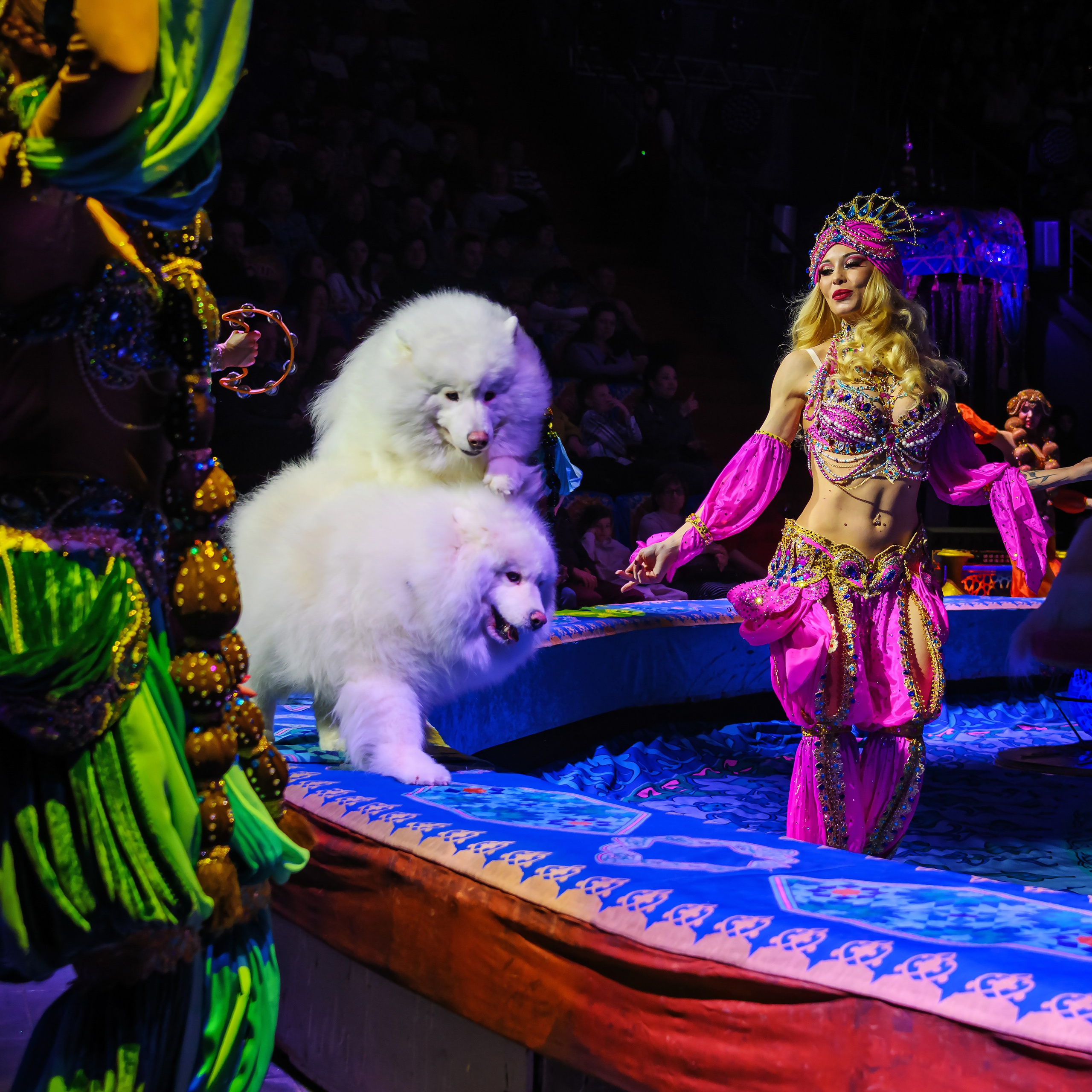 Песчаная сказка Гии Эрадзе — волшебное шоу 🎪, которое должен увидеть каждый, кто ценит красоту🌹, талант 🎭 и умение мечтать 💫. Цирковой фотограф Андрей Пухов (Jazz)