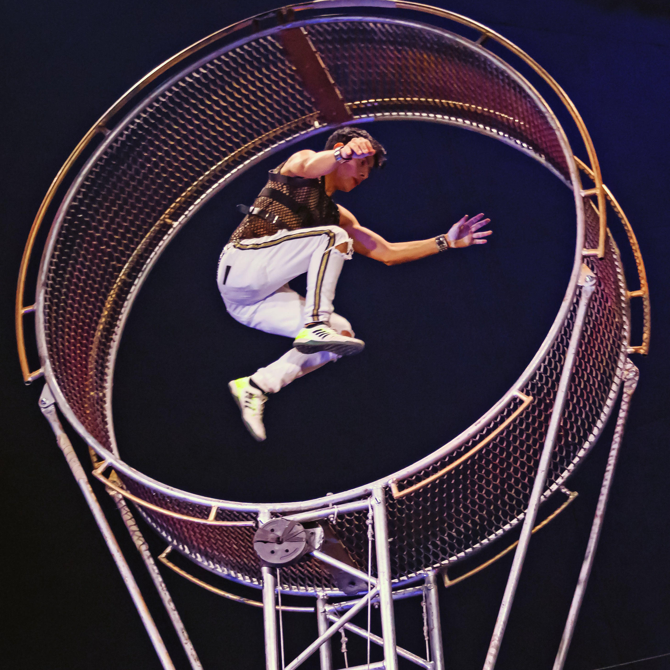 Шоу Демидовых. Цирковой фотограф Андрей Пухов (Jazz)