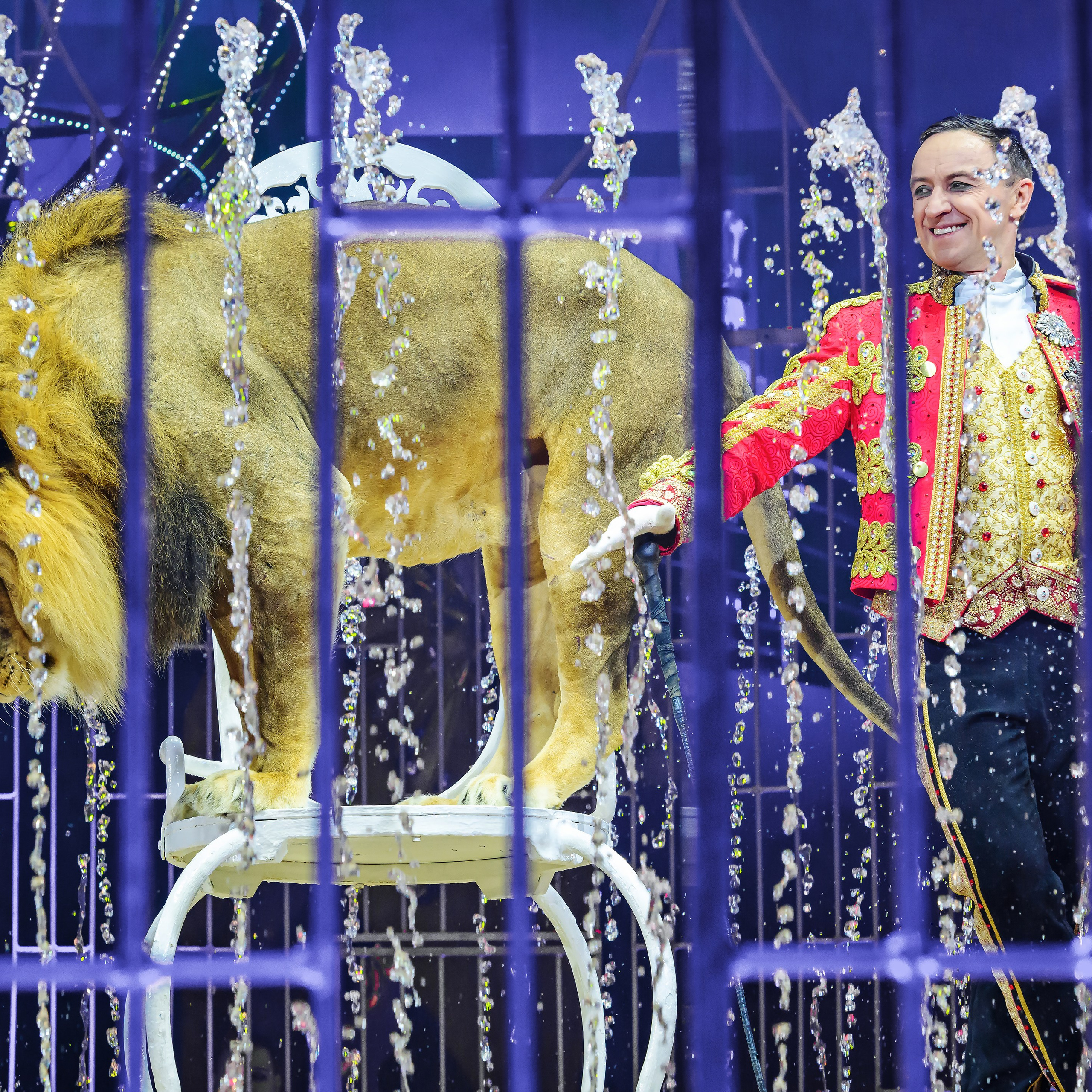 Принц Цирка (Продюсерский центр Влада Гончарова)🎪🦁. Фотограф Андрей Пухов (Jazz)