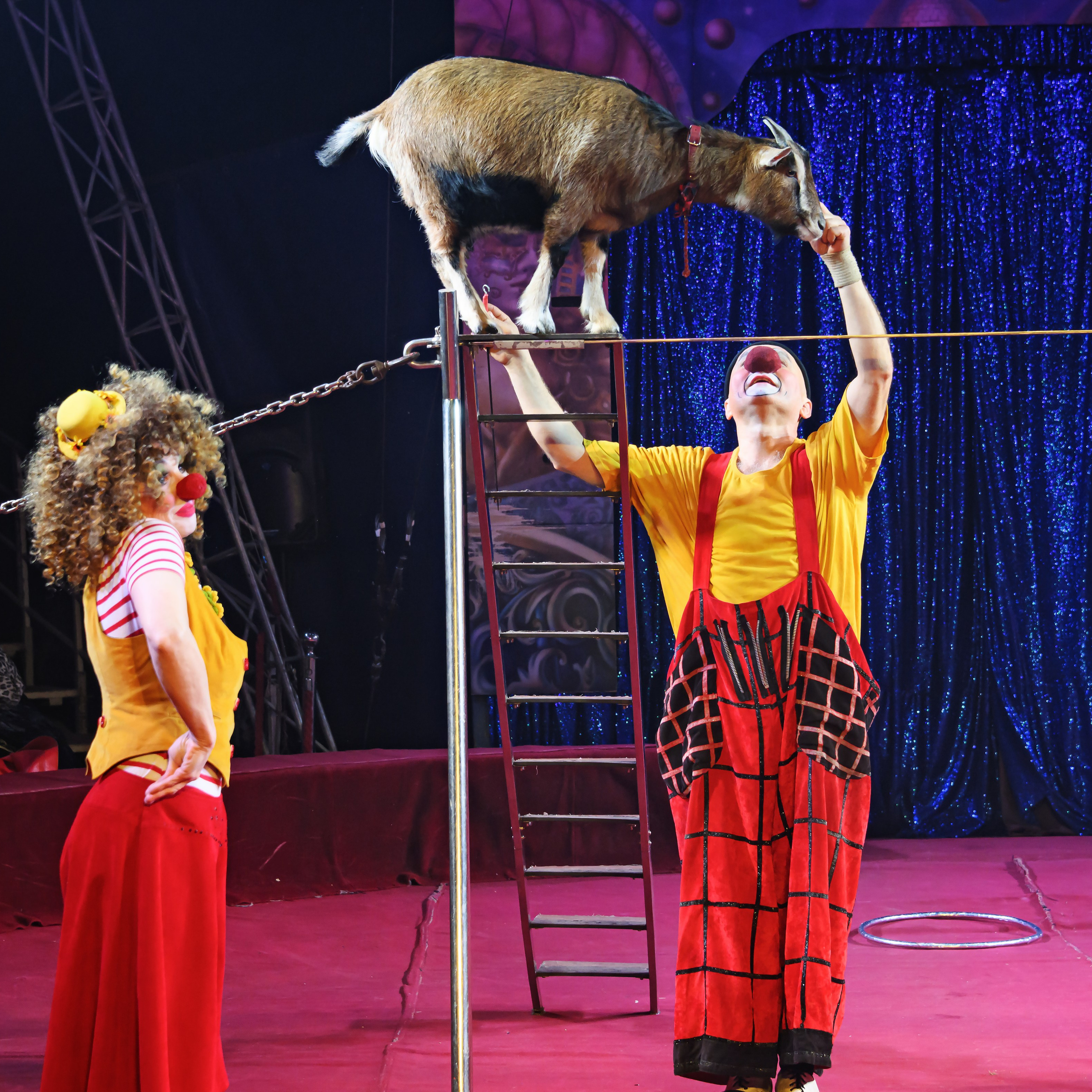 Международный цирк"HAPPY CIRCUS». Фотограф Андрей Пухов (Jazz)