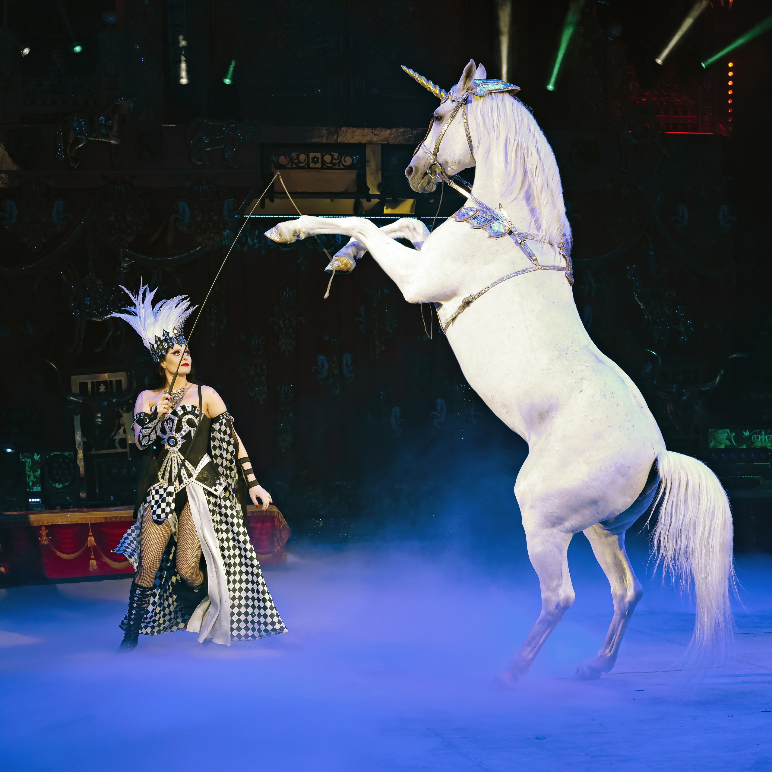 Royal Circus (новые номера). Фотограф Андрей Пухов (Jazz)