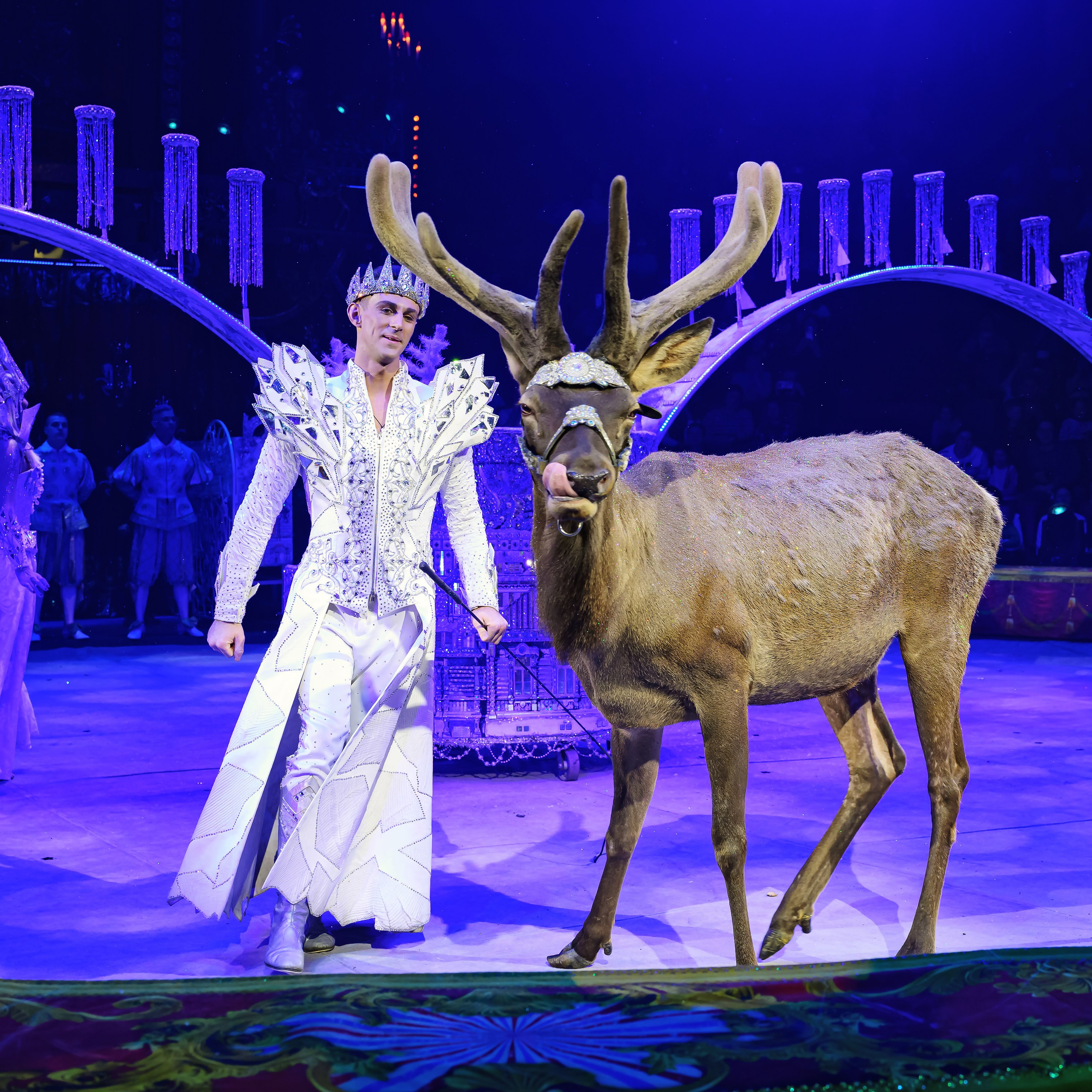 Royal Circus (новые номера). Фотограф Андрей Пухов (Jazz)